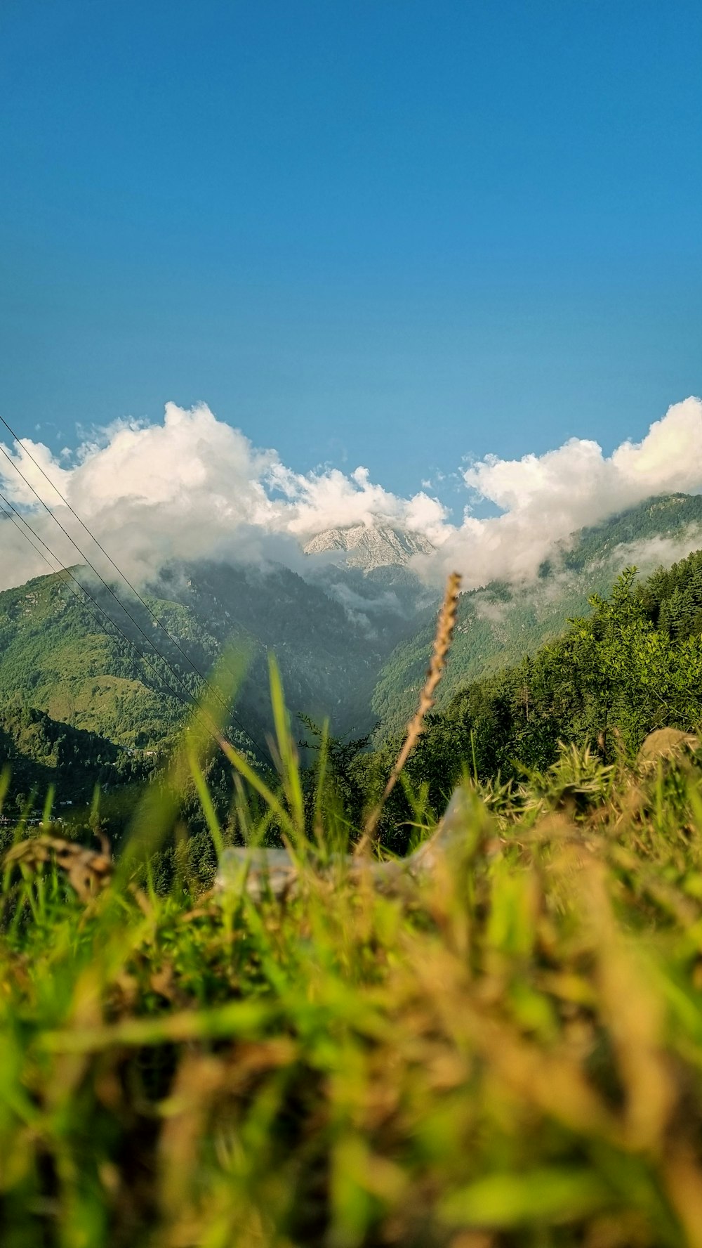 a view of a mountain range from a grassy field