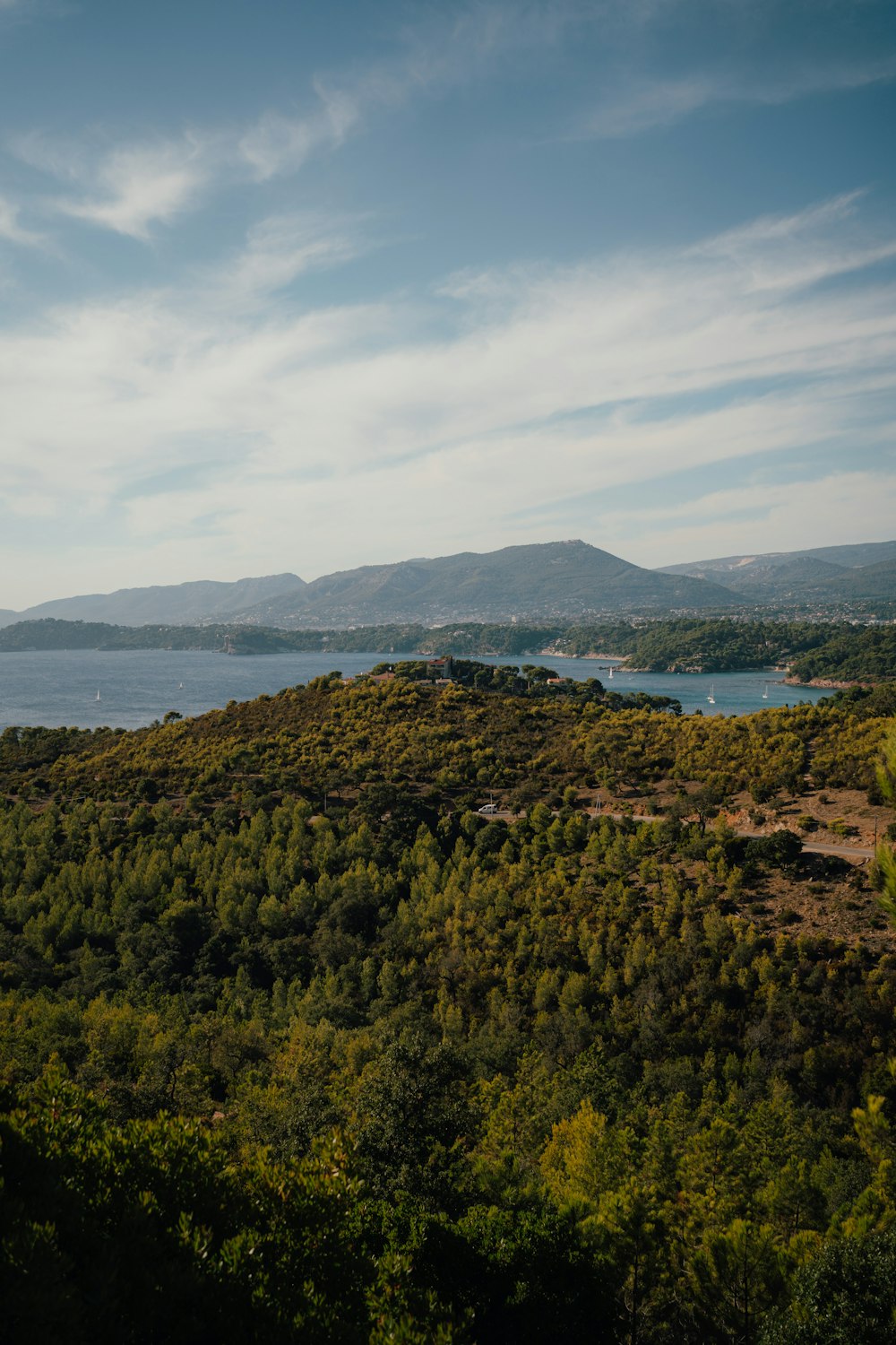 a large body of water surrounded by trees