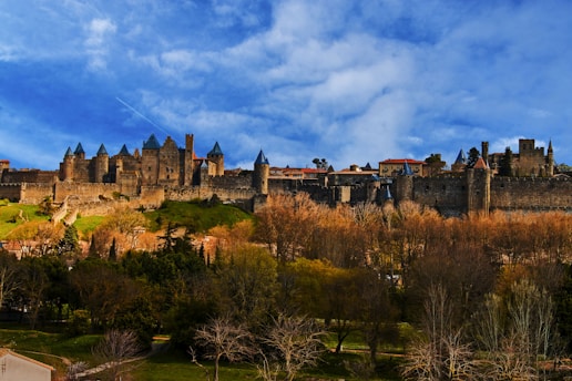 a castle on top of a hill surrounded by trees