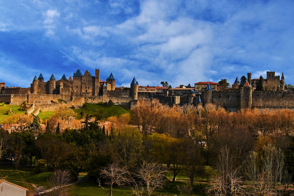 a castle on top of a hill surrounded by trees