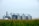 Several large grain silos are visible in the background with interconnected metal structures above them. In the foreground, there is a field of tall green corn.