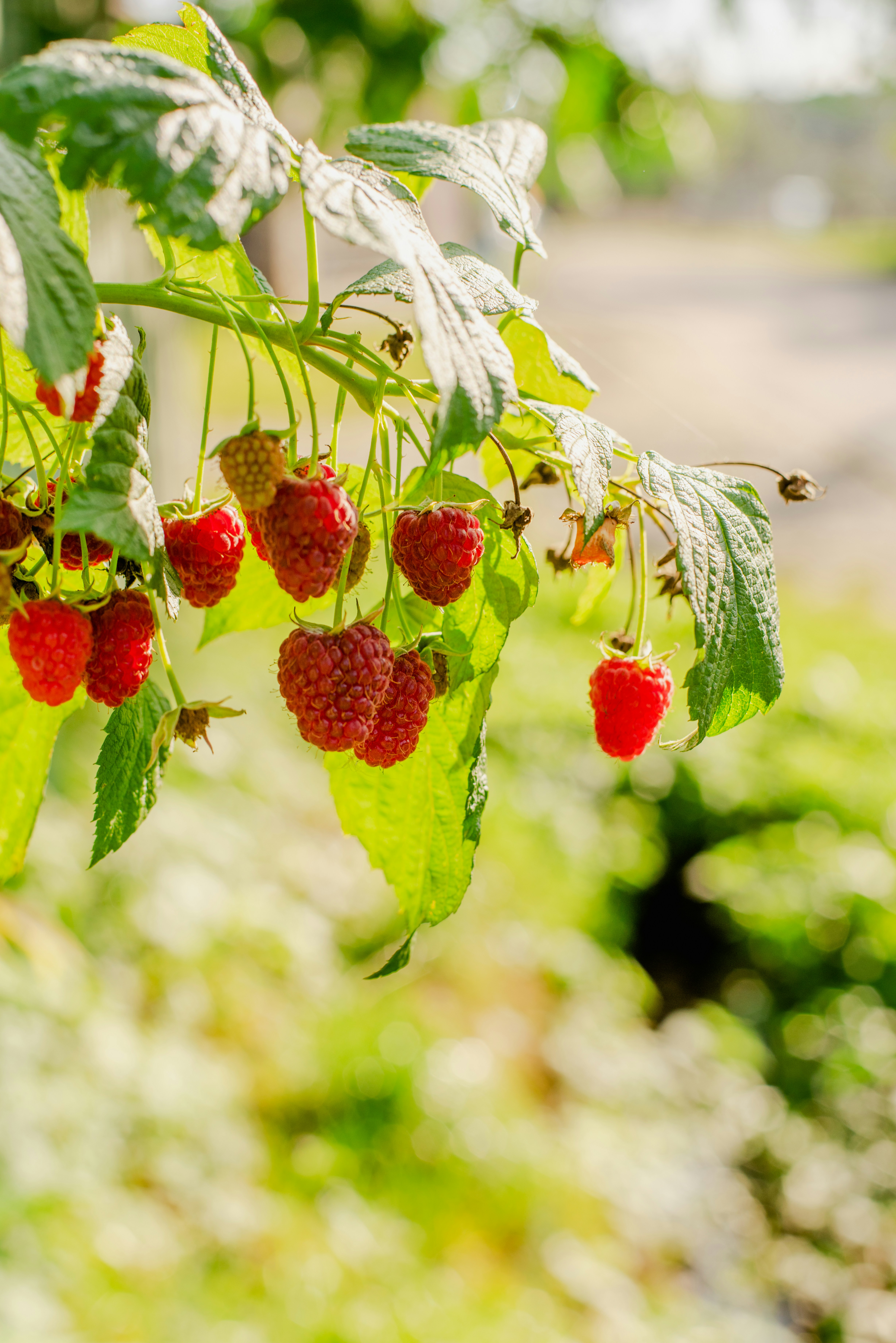 Photo by eugenivy_now