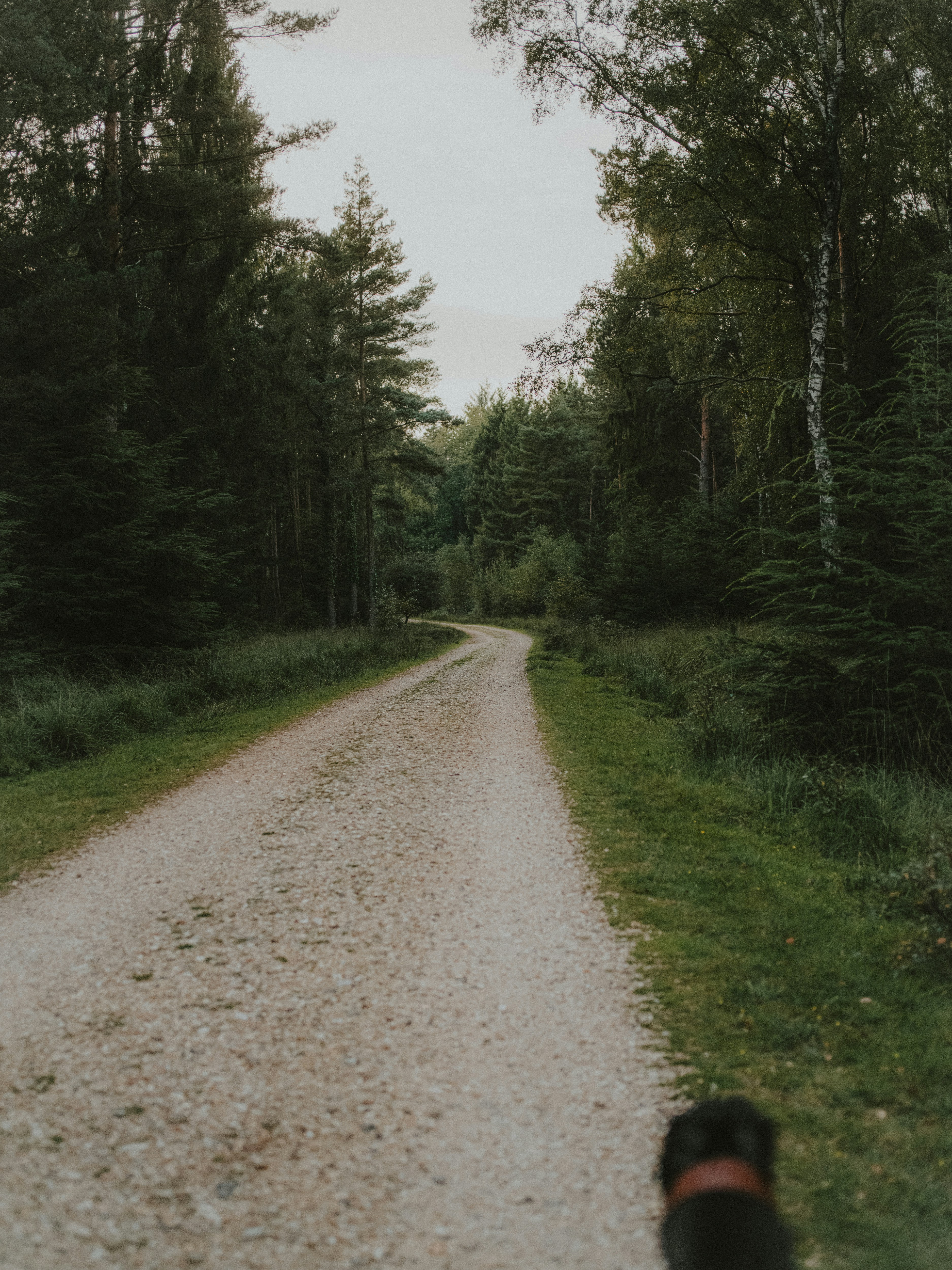 Photo by anniespratt