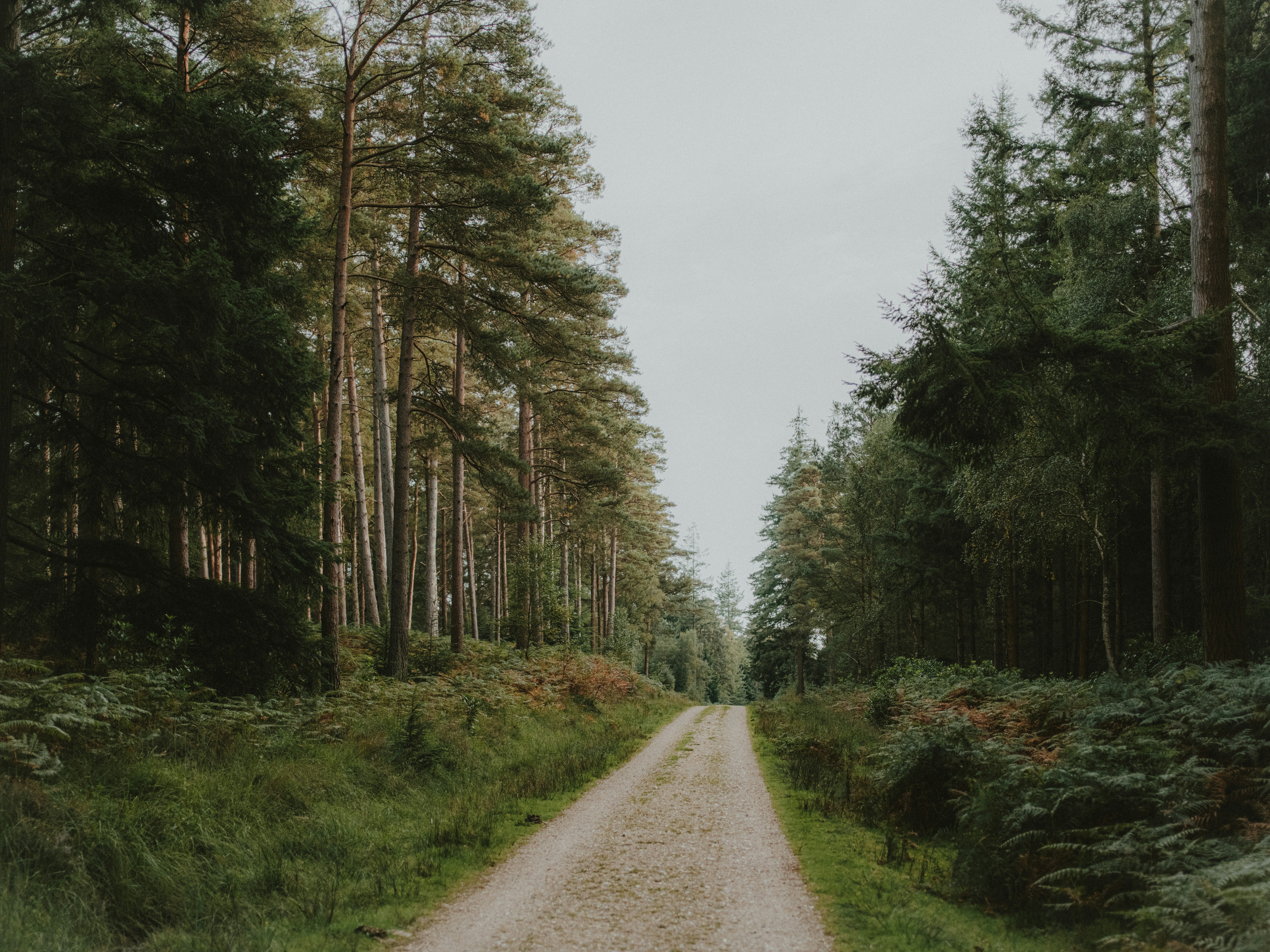 Photo by anniespratt