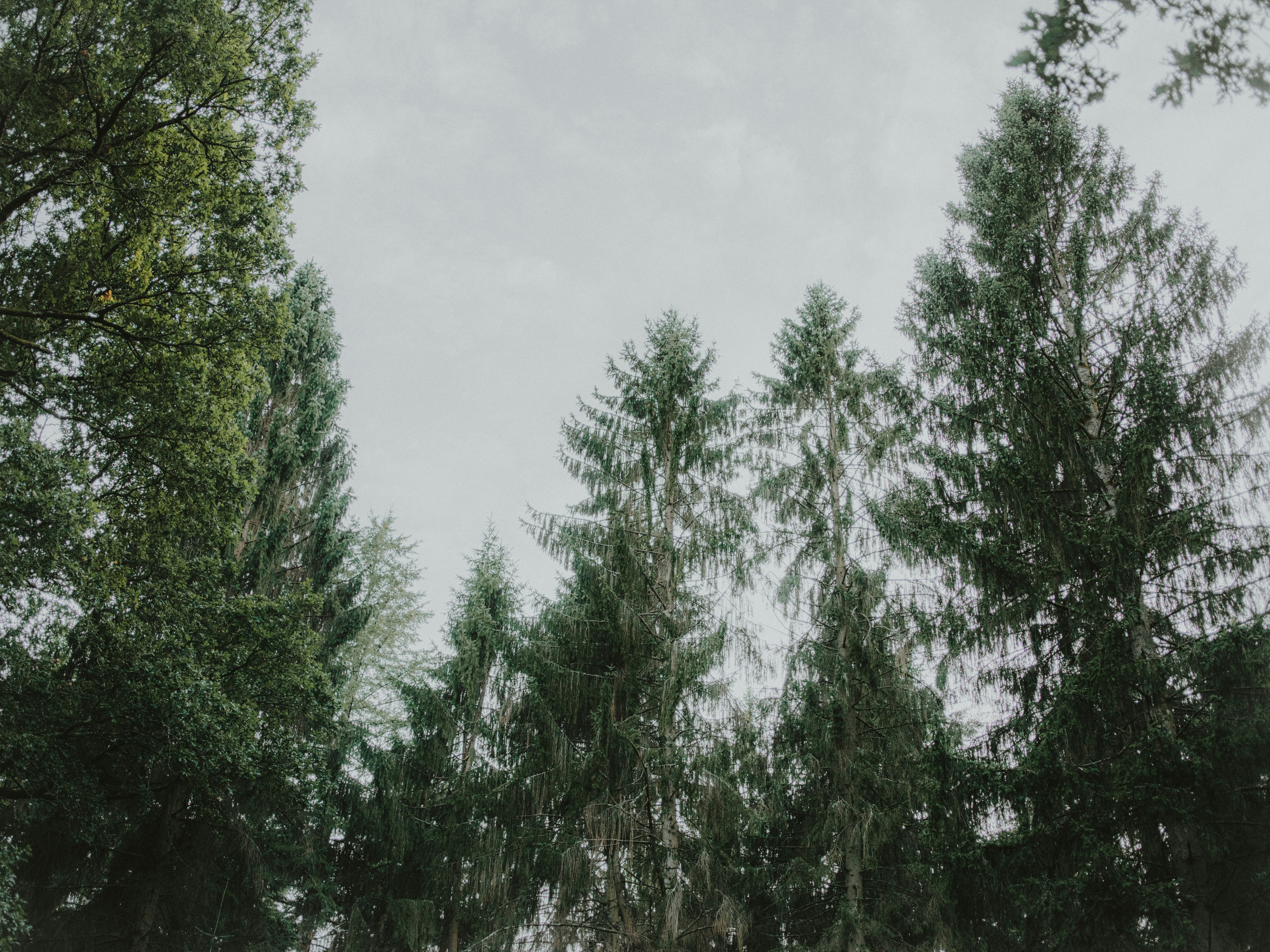 Photo by anniespratt