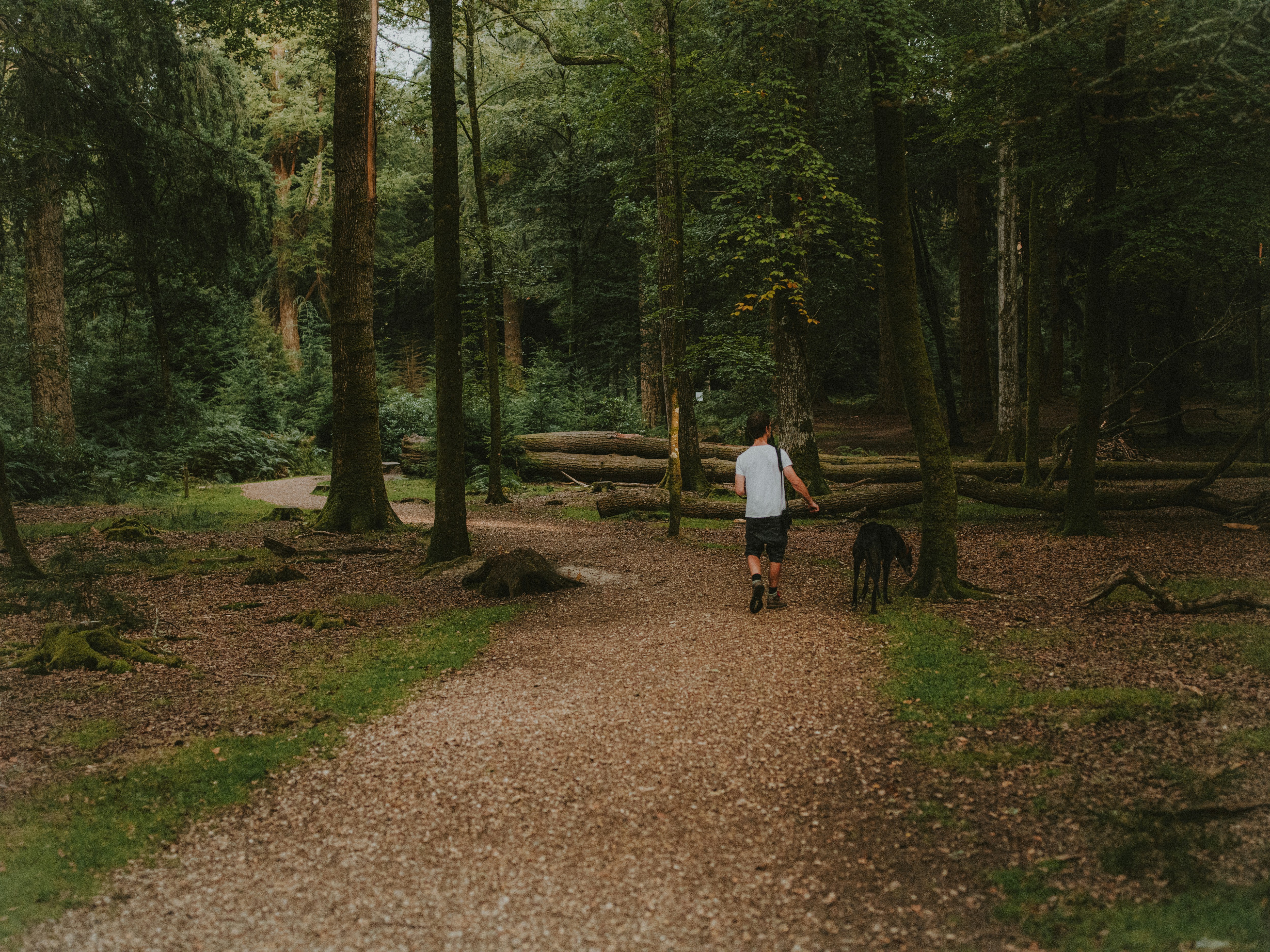 The Benefits of Nature Walks for Mental Health - Wellness Tips