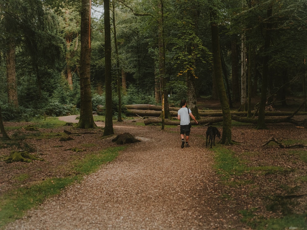 a man walking a dog through a forest