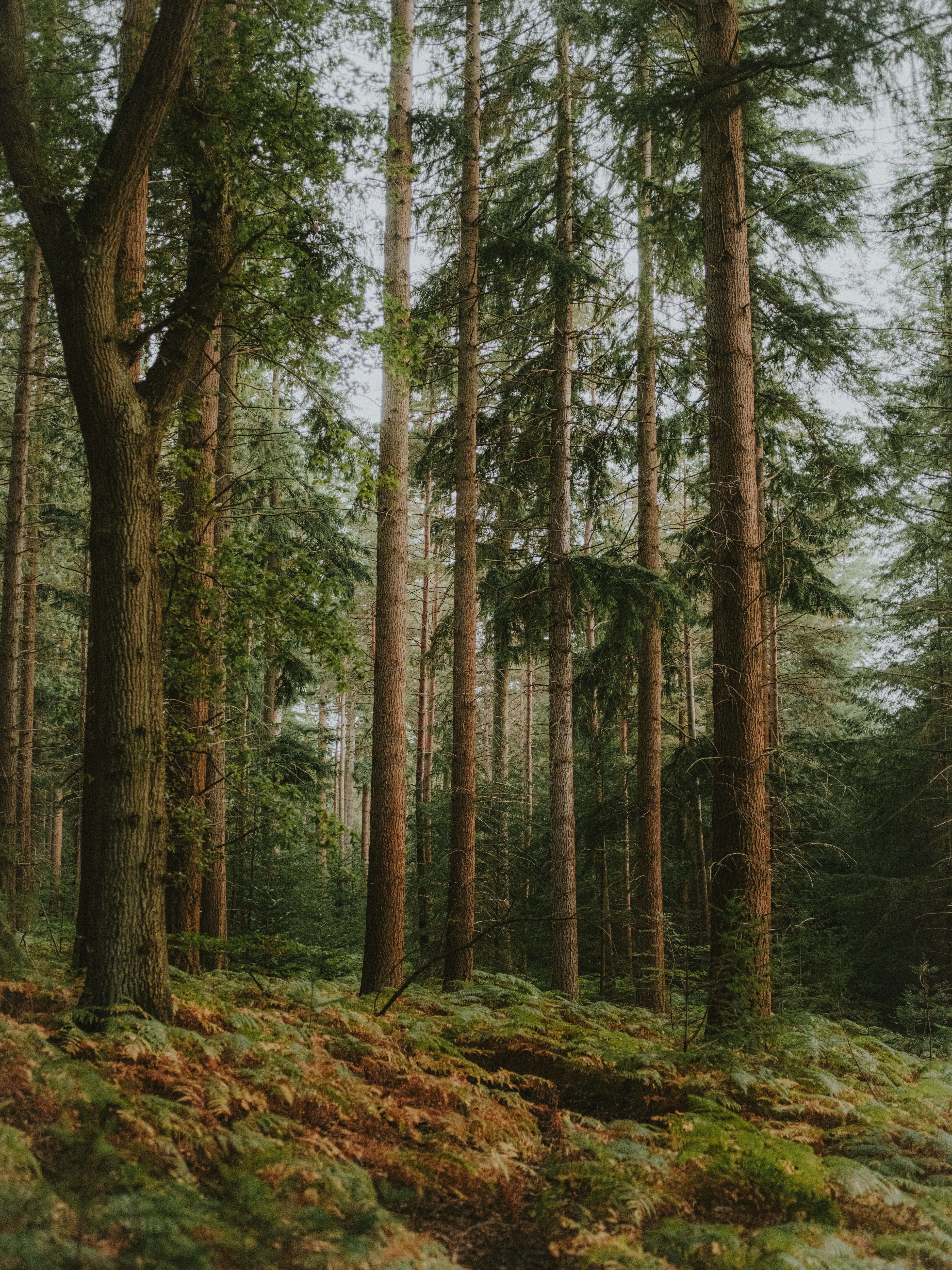 Photo by anniespratt