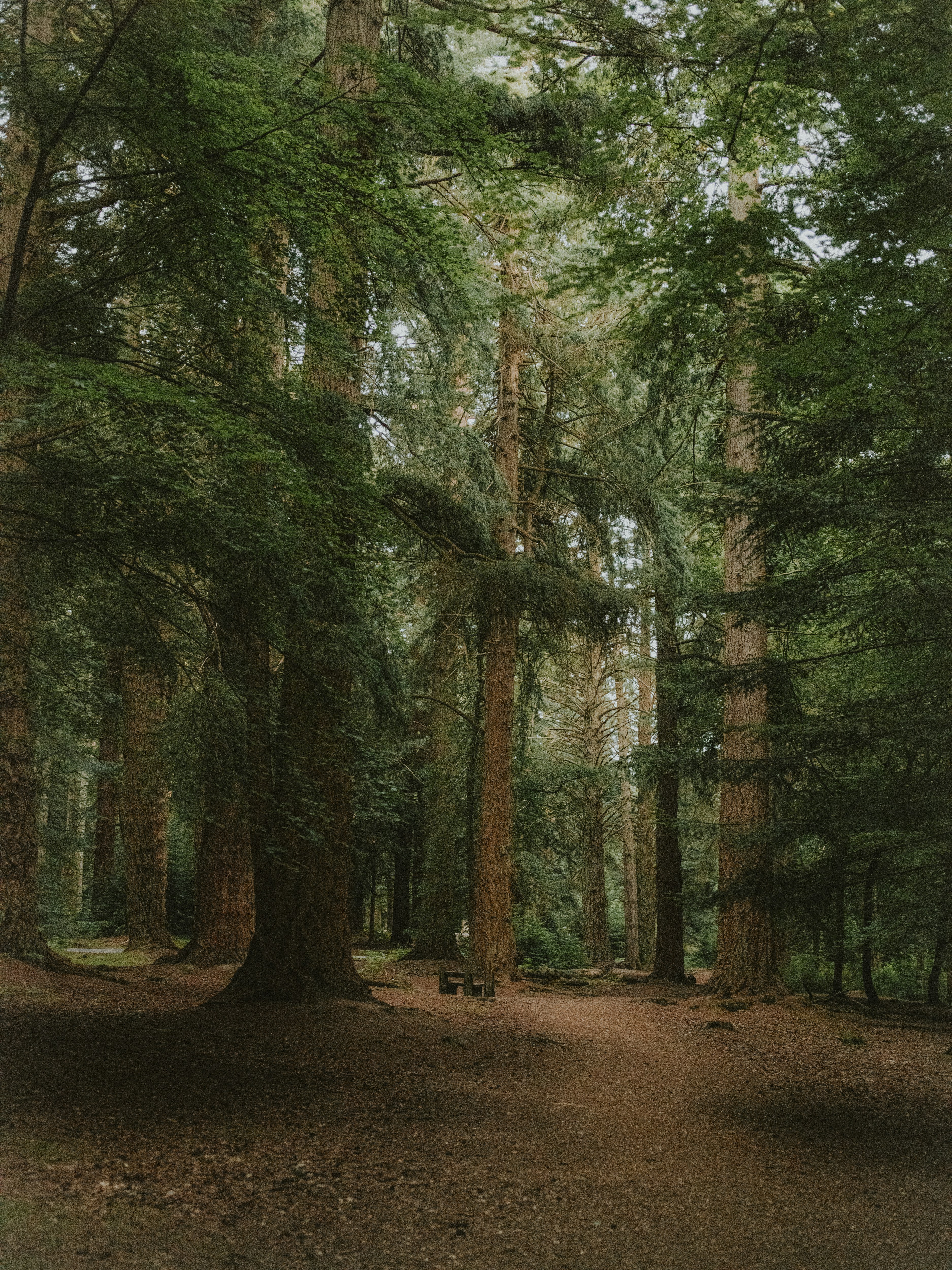 Photo by anniespratt