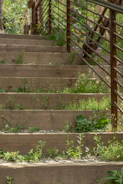 A sturdy wooden ramp with handrails leading to a home entrance surrounded by greenery.