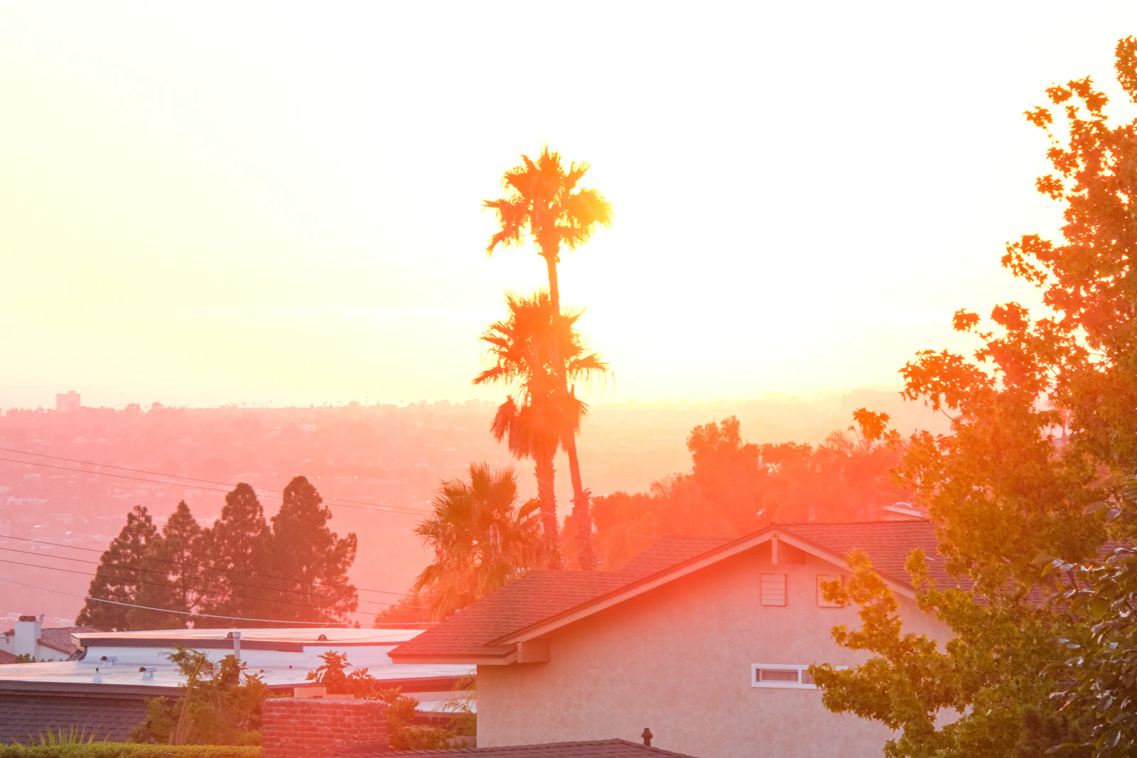 Solar Upgrade: A Homeowner's Guide to Going Solar in Southern California
