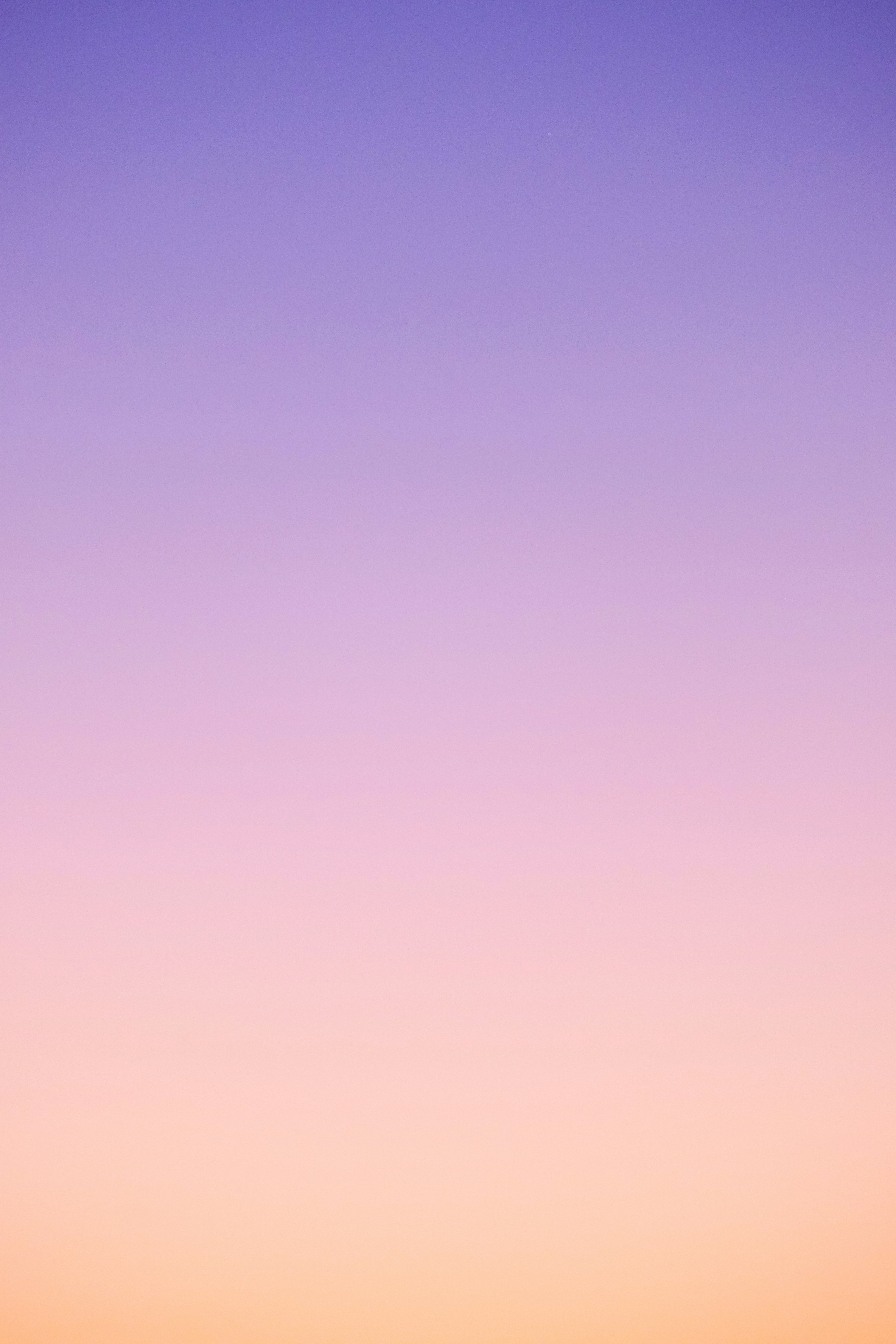 Photo by cestmoisheedy