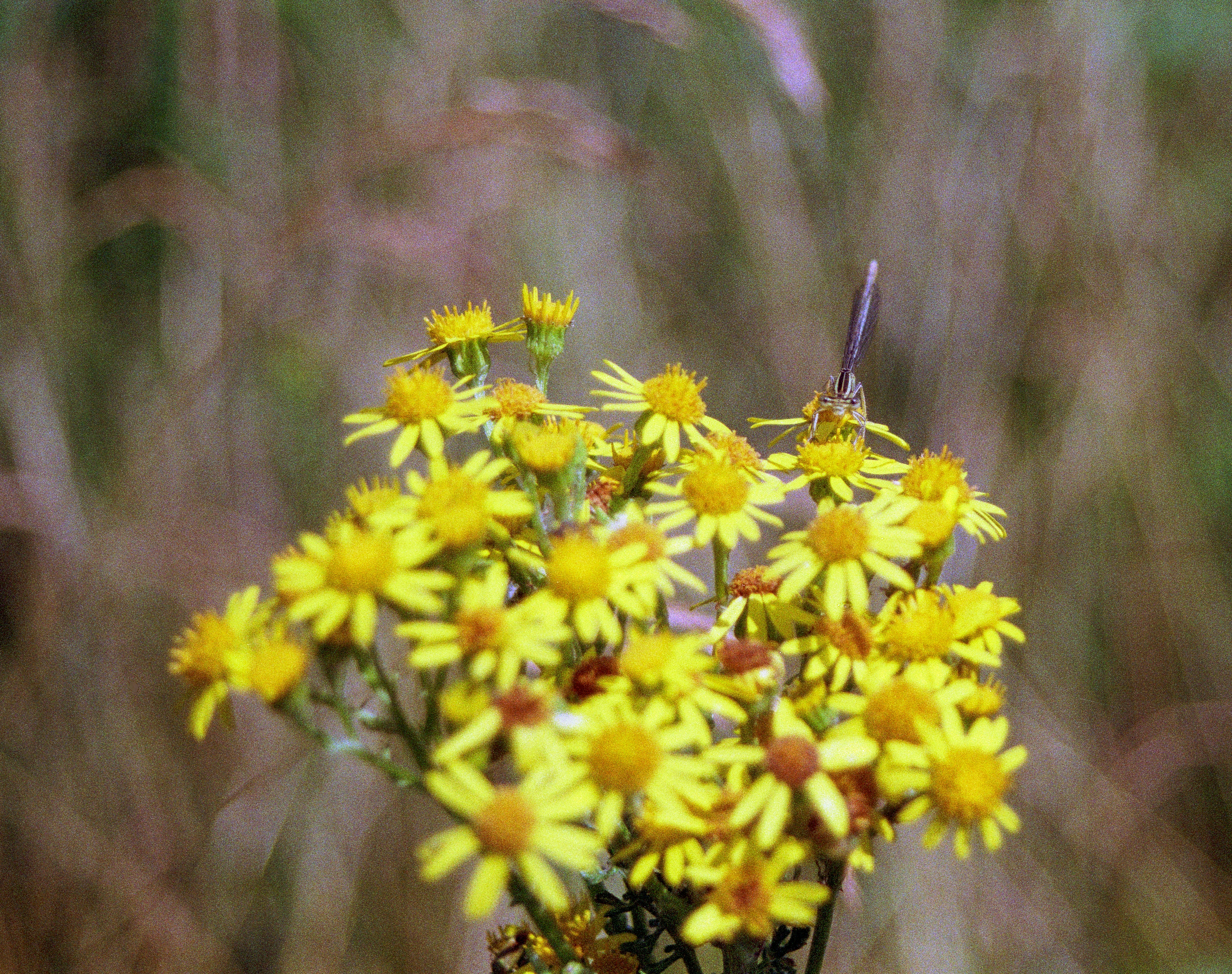 Photo by artistseyes