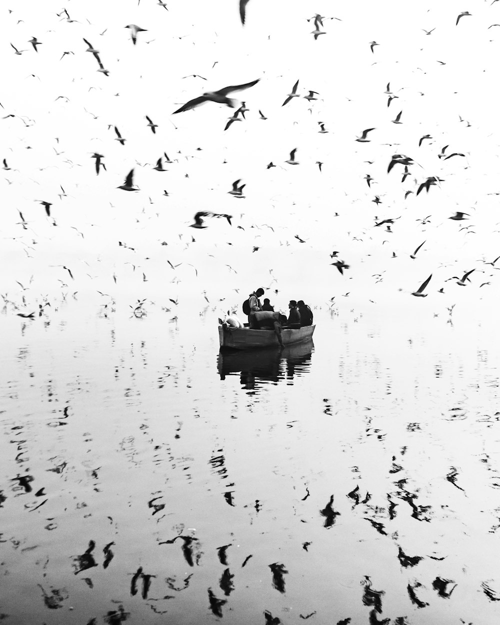 a small boat filled with people surrounded by birds