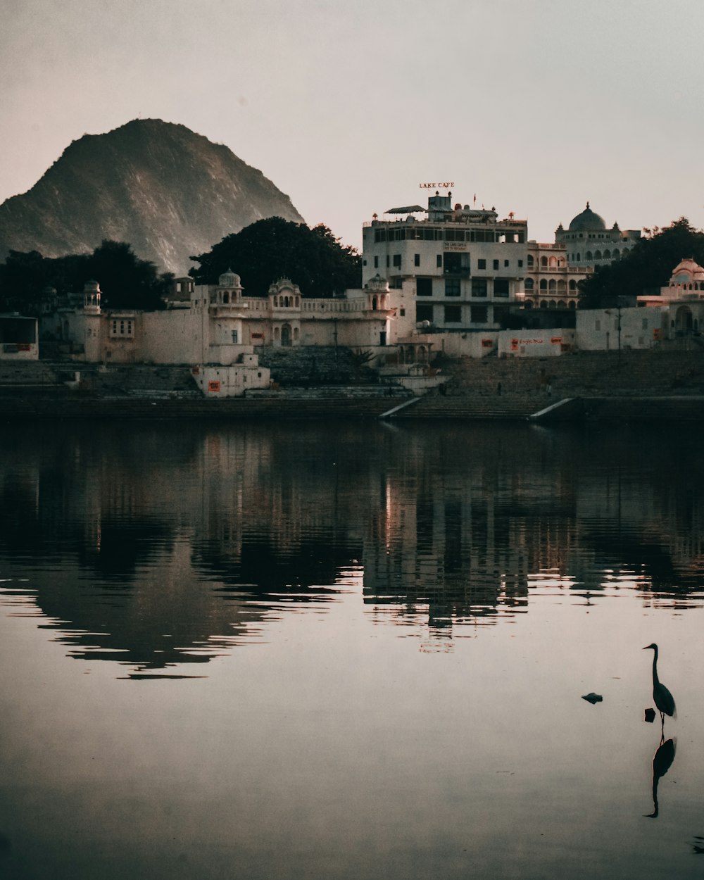 a large body of water with a bird standing in it