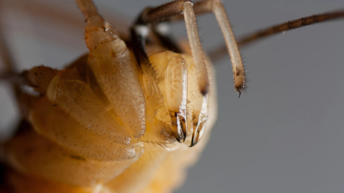 Win Back 25% of Lapsed Pest Control Clients in 2026