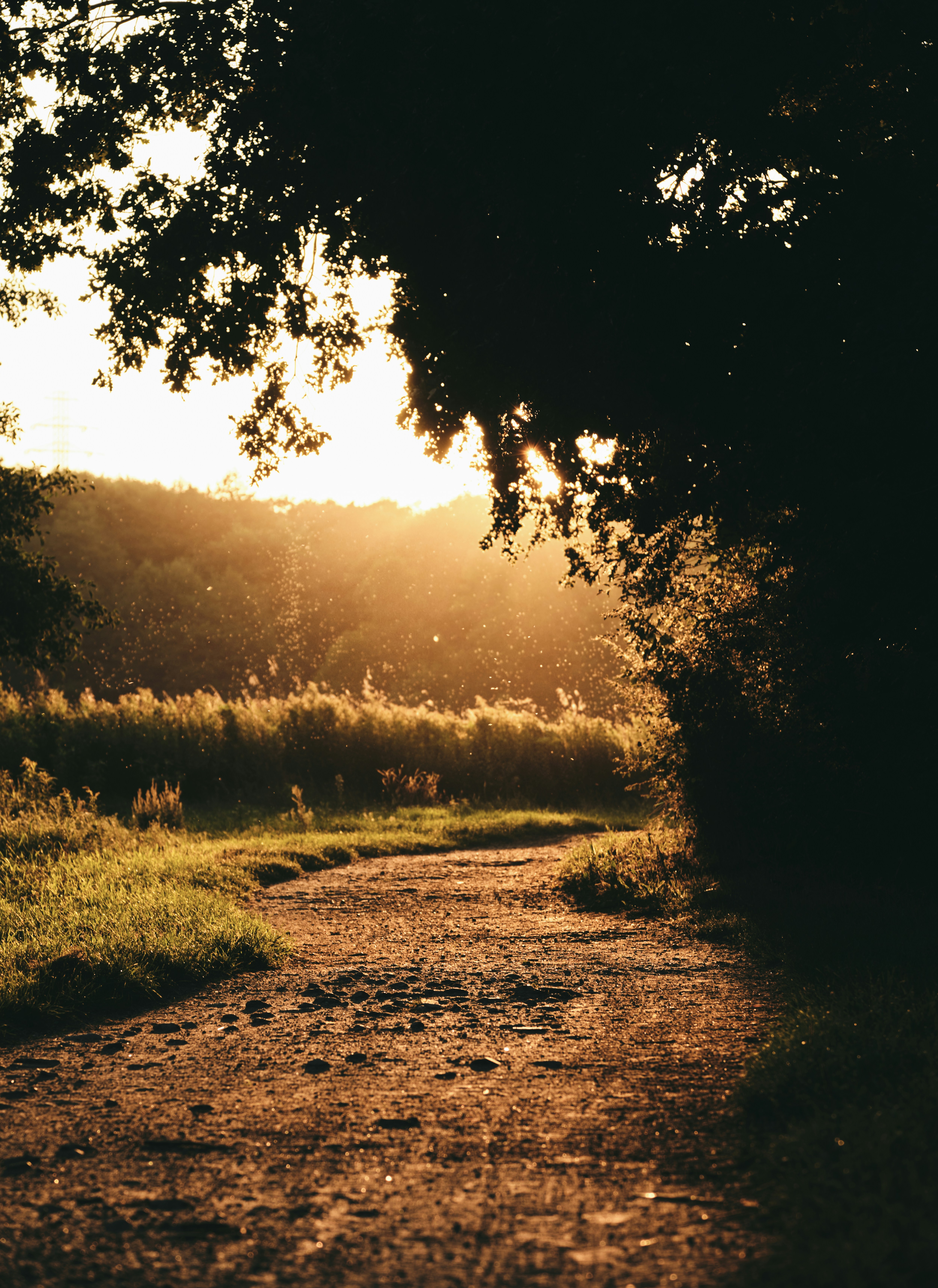 Photo by victor_vector