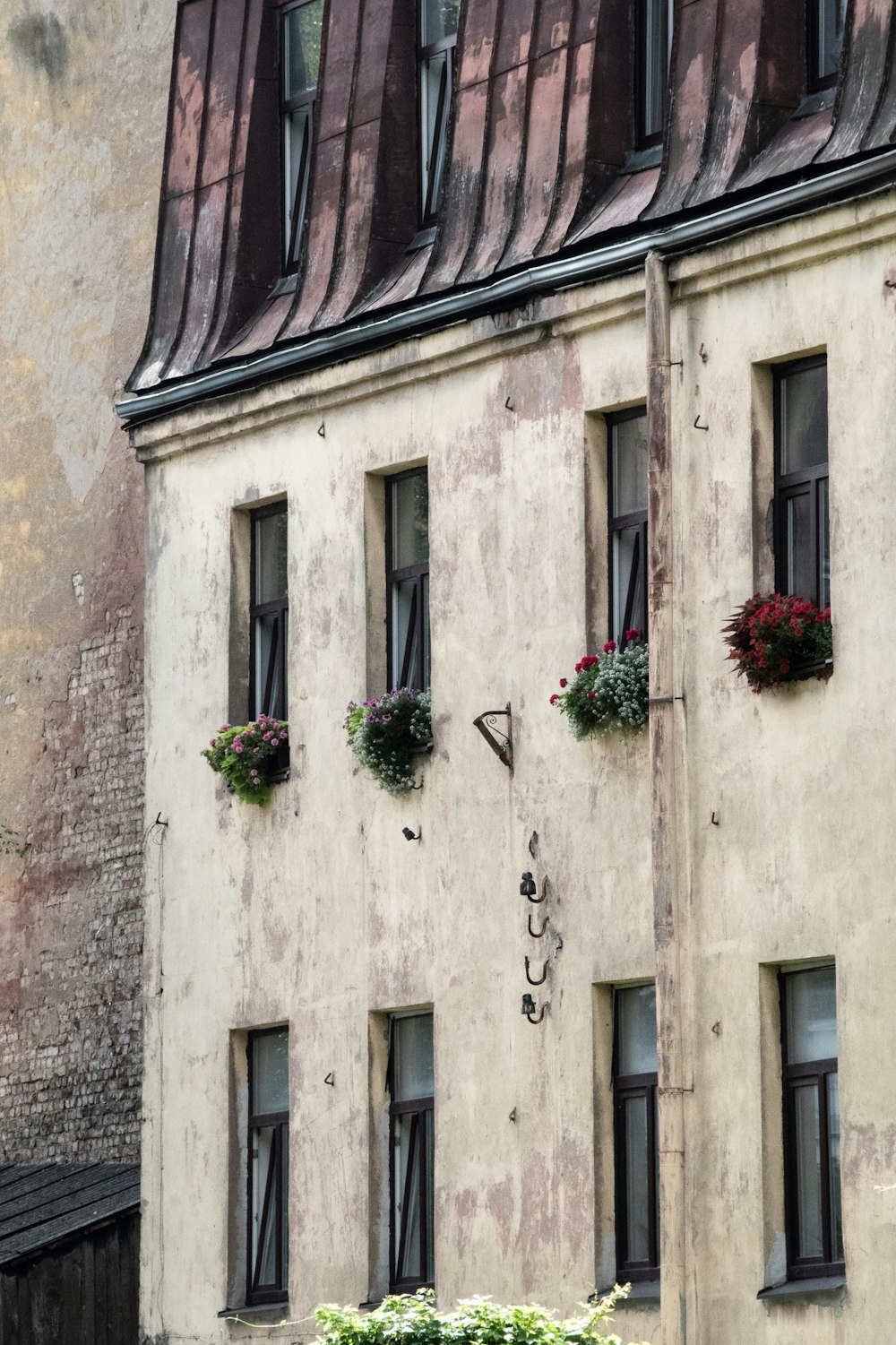 a building with a bunch of windows and a clock on it