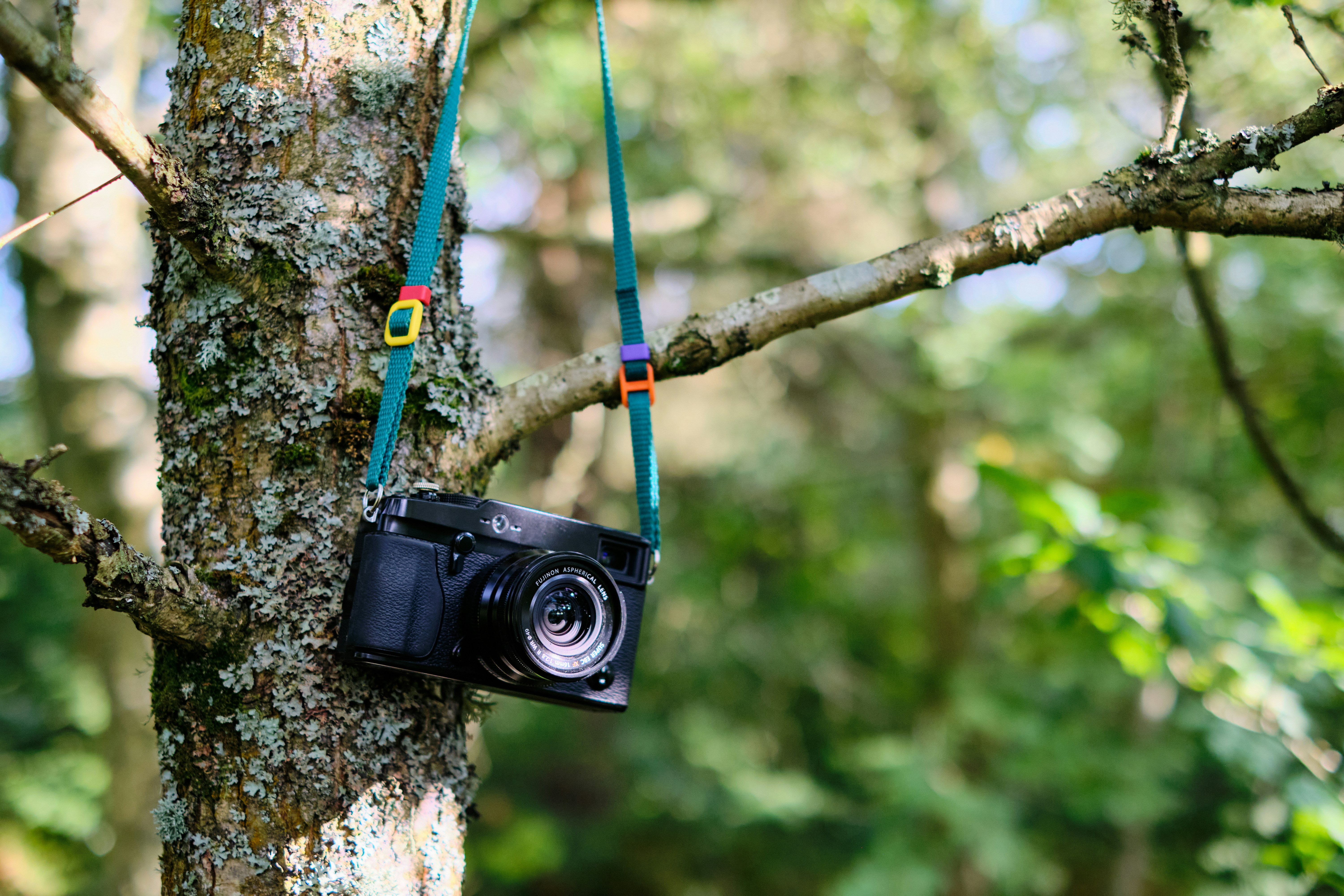 8 DSLR Camera Durability Ratings Compared for Outdoor Use