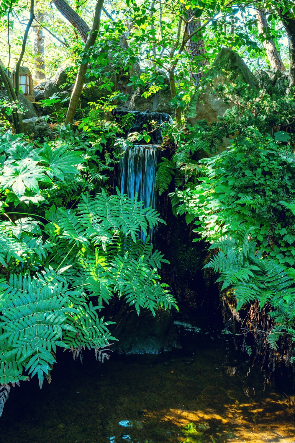 a small waterfall in the middle of a lush green forest