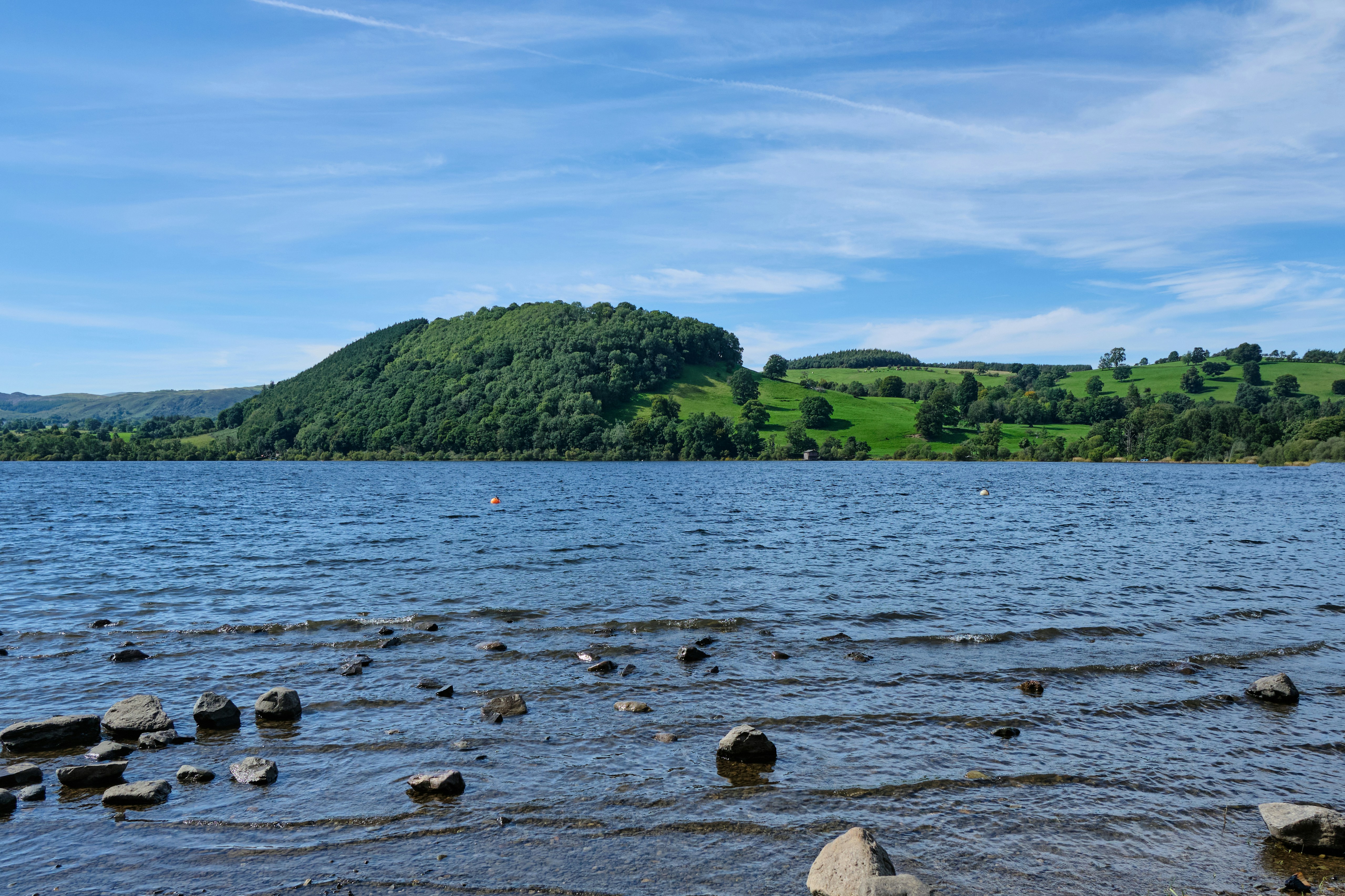 Photo by frostroomhead