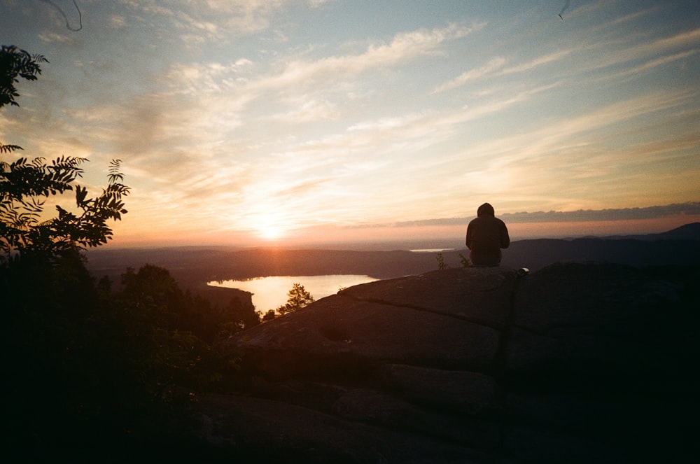 a person sitting on top of a rock next to a tree