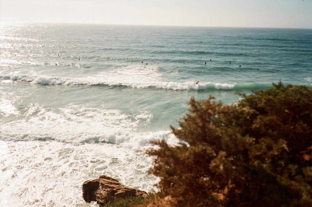 a group of people swimming in the ocean