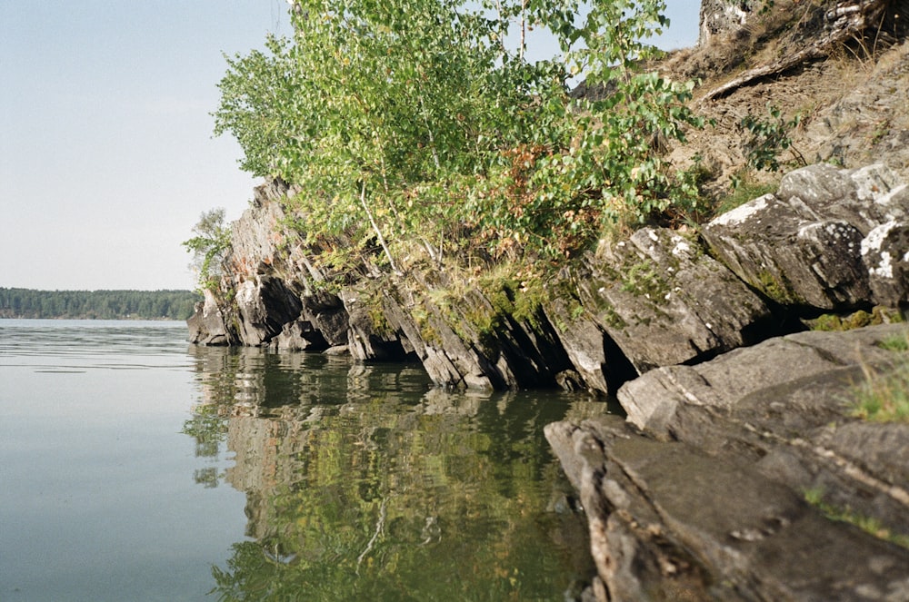 a body of water surrounded by rocks and trees