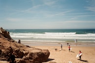 Group of surfers preparing their boards on a sandy shore with palm trees.