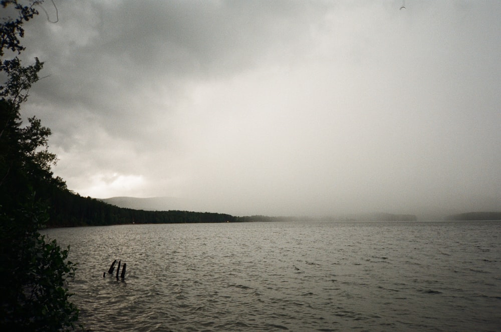 a body of water surrounded by trees under a cloudy sky