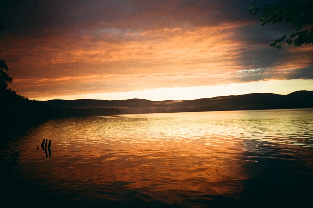 a couple of people standing in the water at sunset