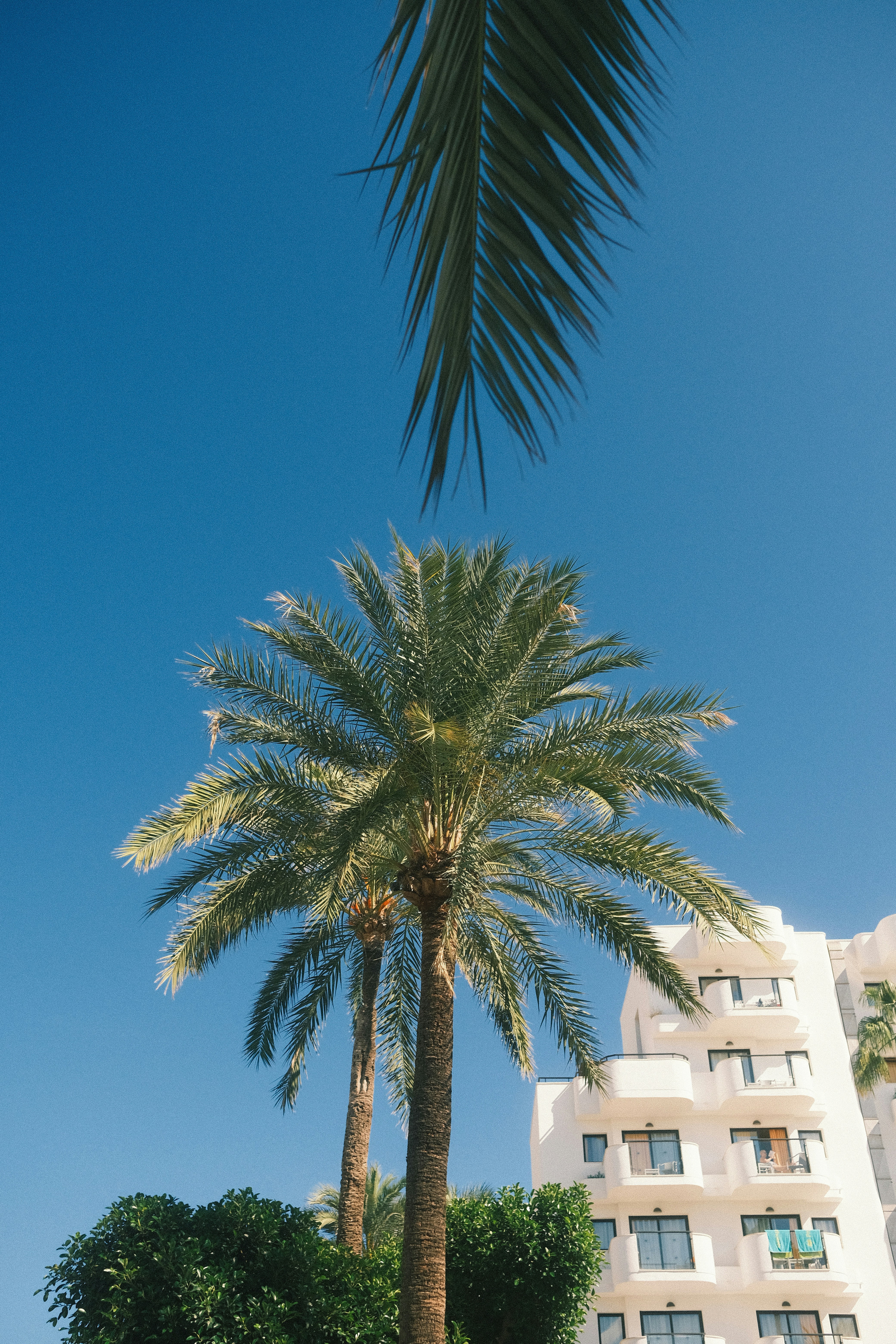 Photo by visualsbying