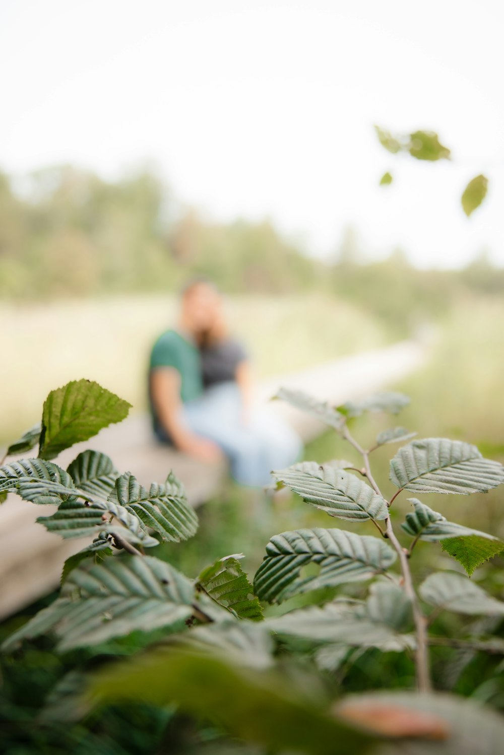 a man sitting on a bench next to a plant