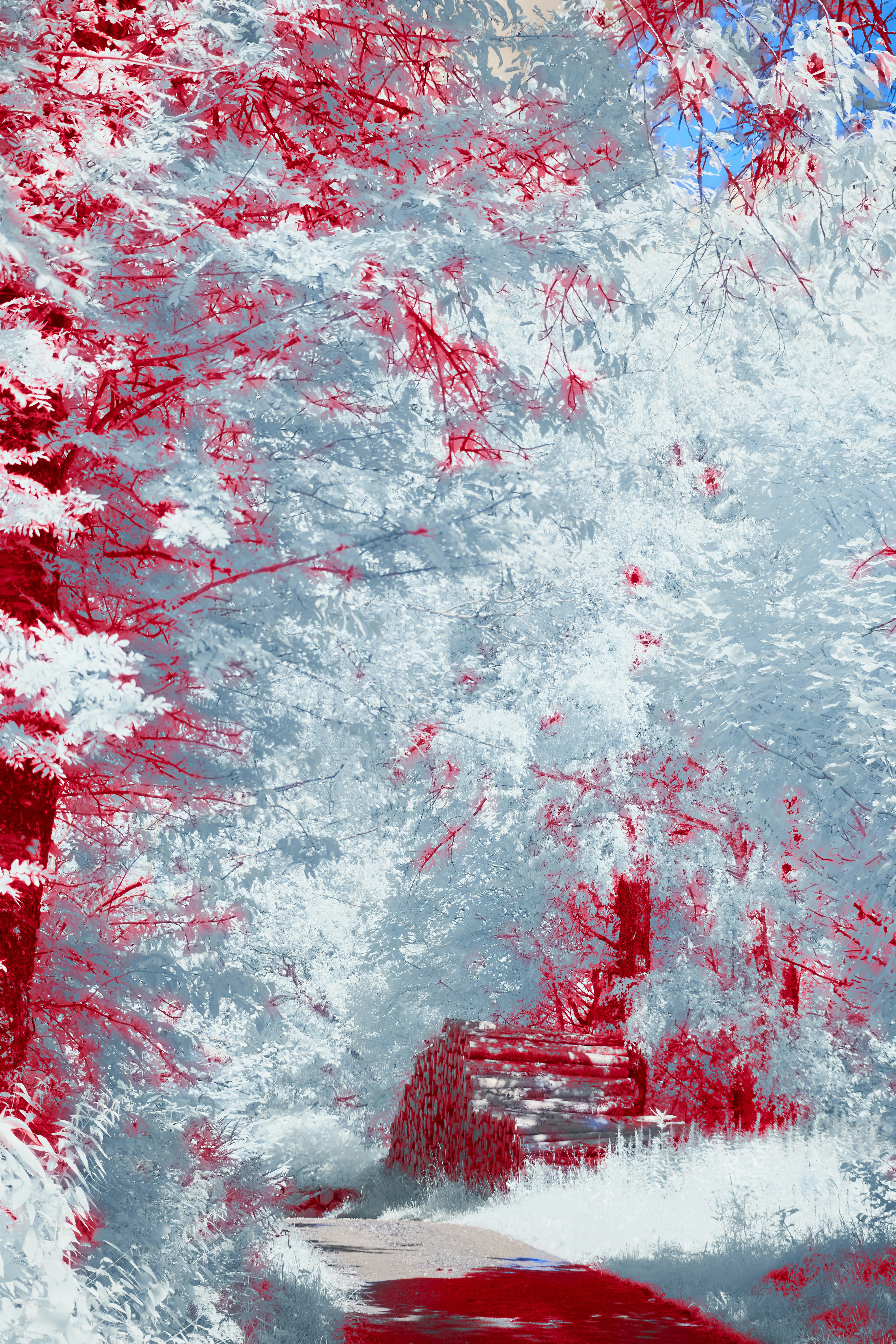 Photo by wolfgang_hasselmann