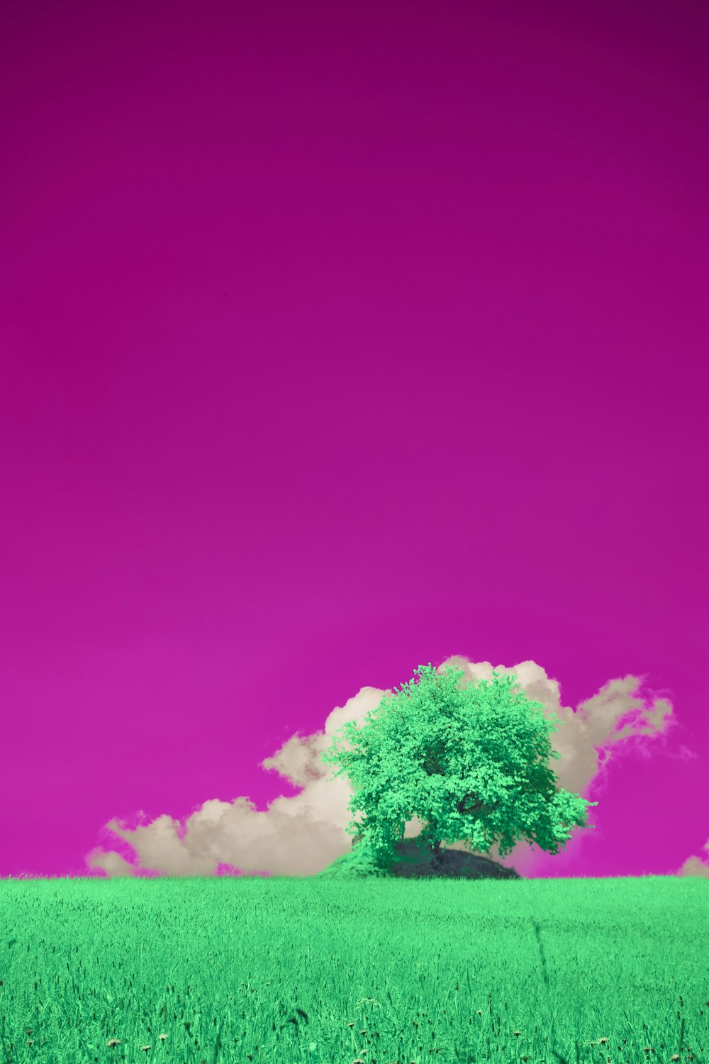 a lone tree in a green field under a purple sky
