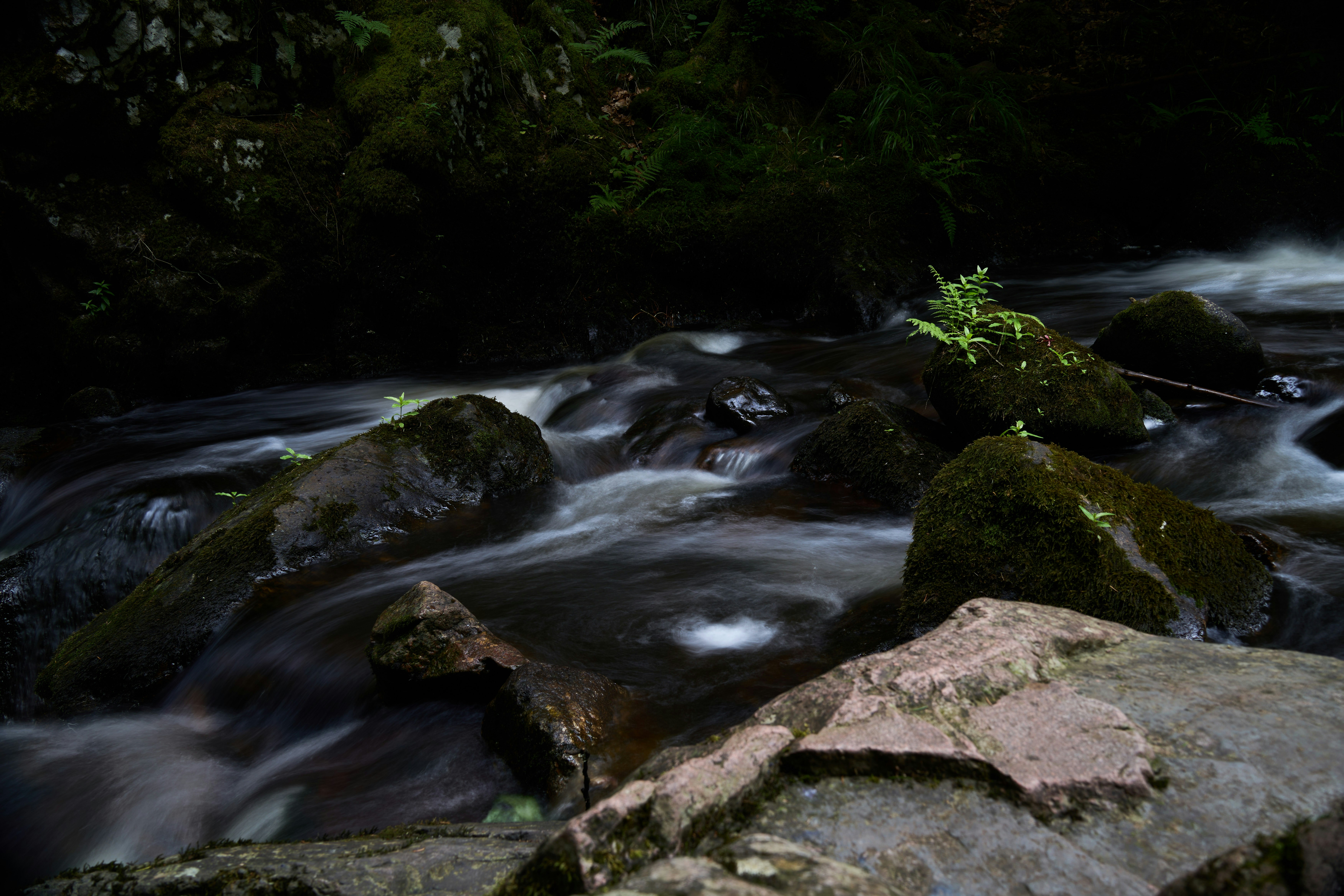 Photo by wolfgang_hasselmann