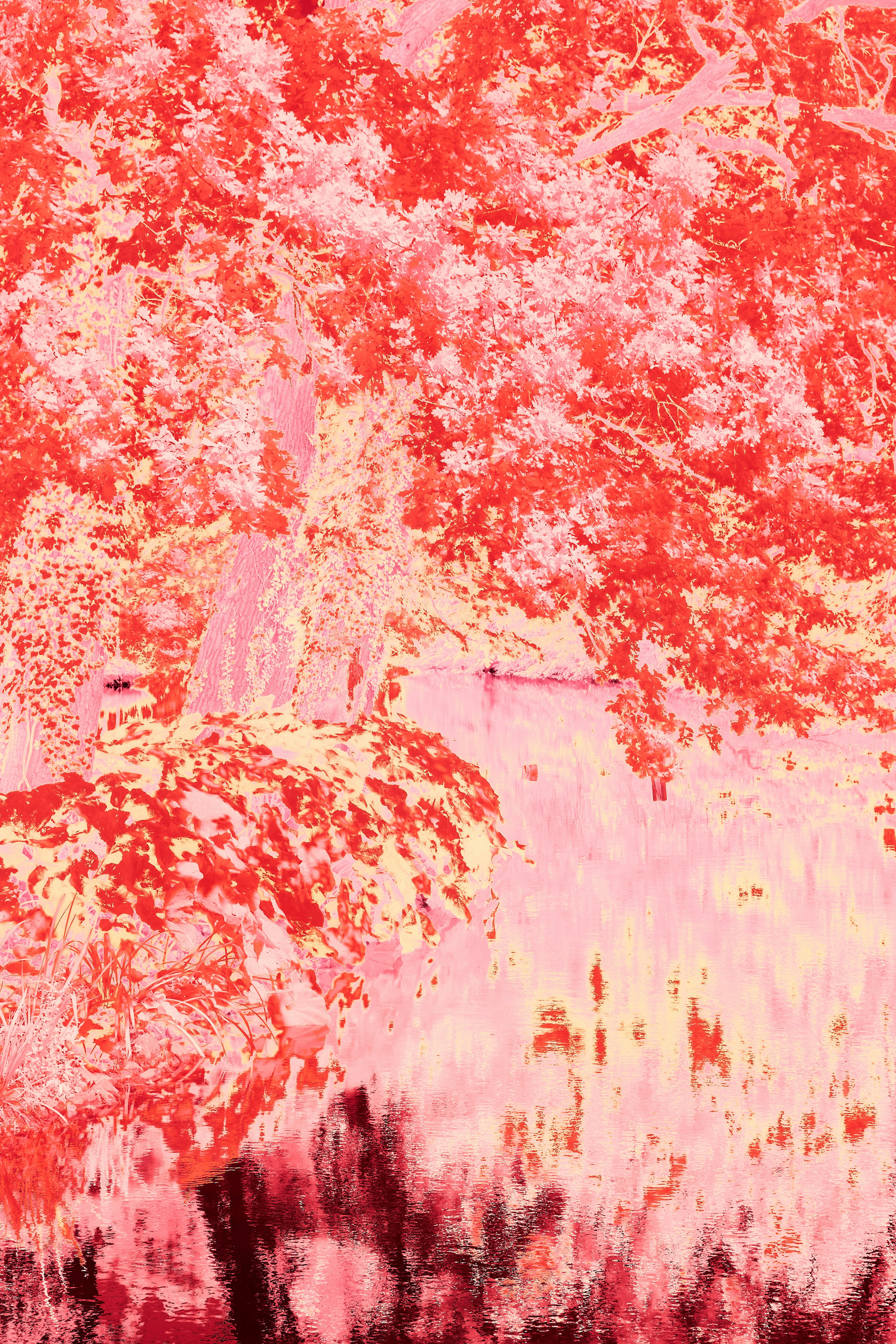 Photo by wolfgang_hasselmann