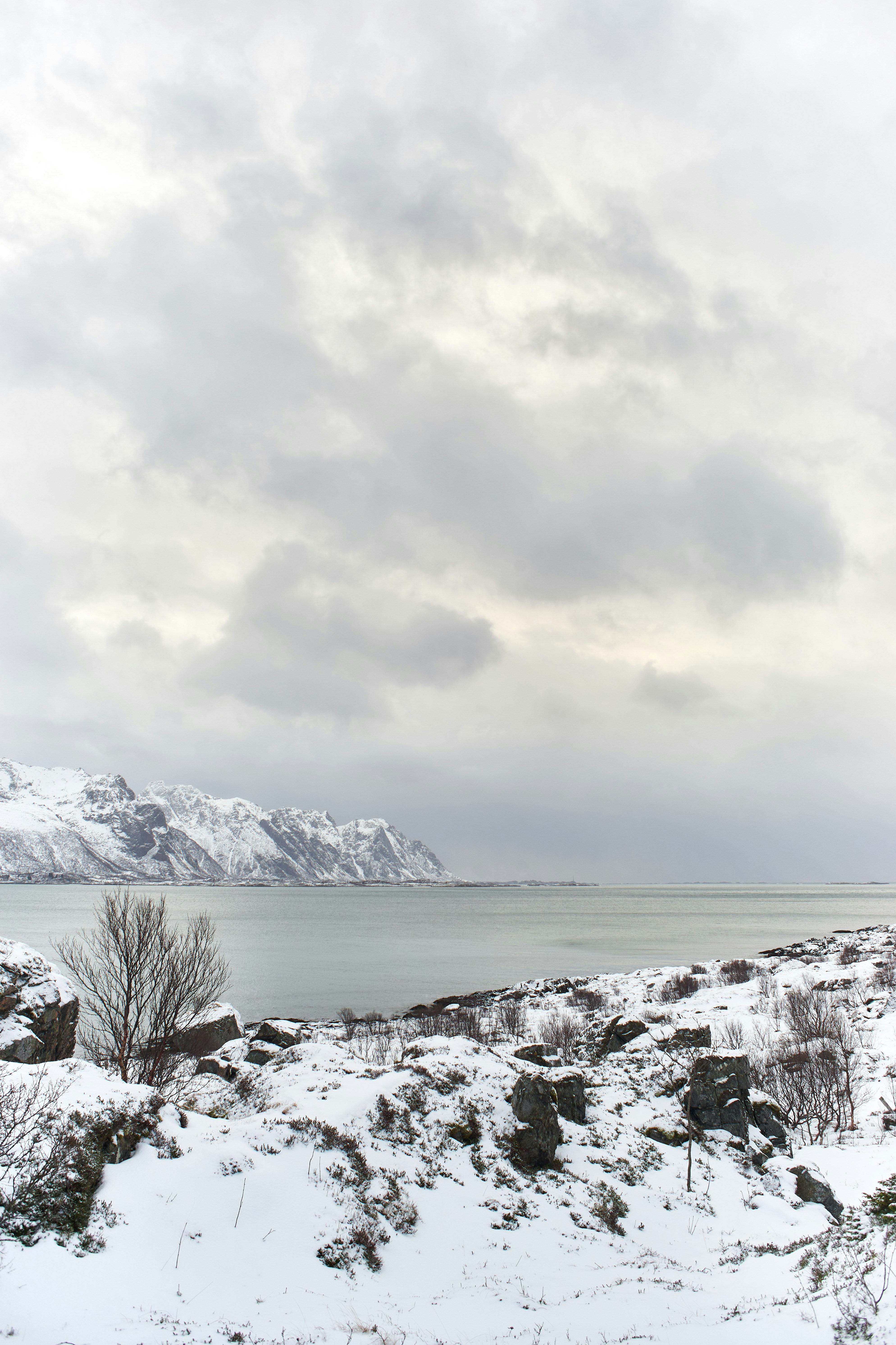 Photo by wolfgang_hasselmann