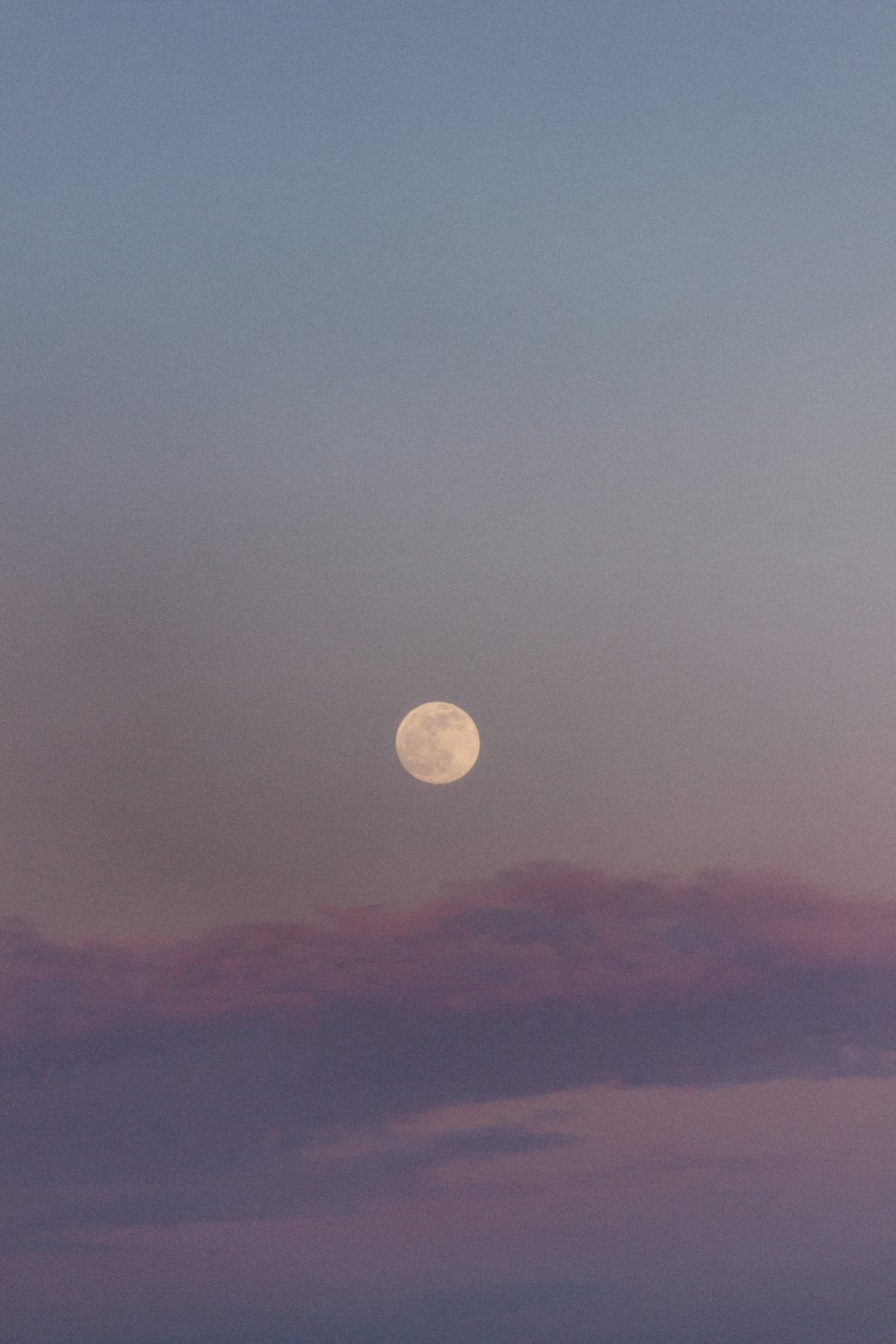 uma lua cheia é vista no céu
