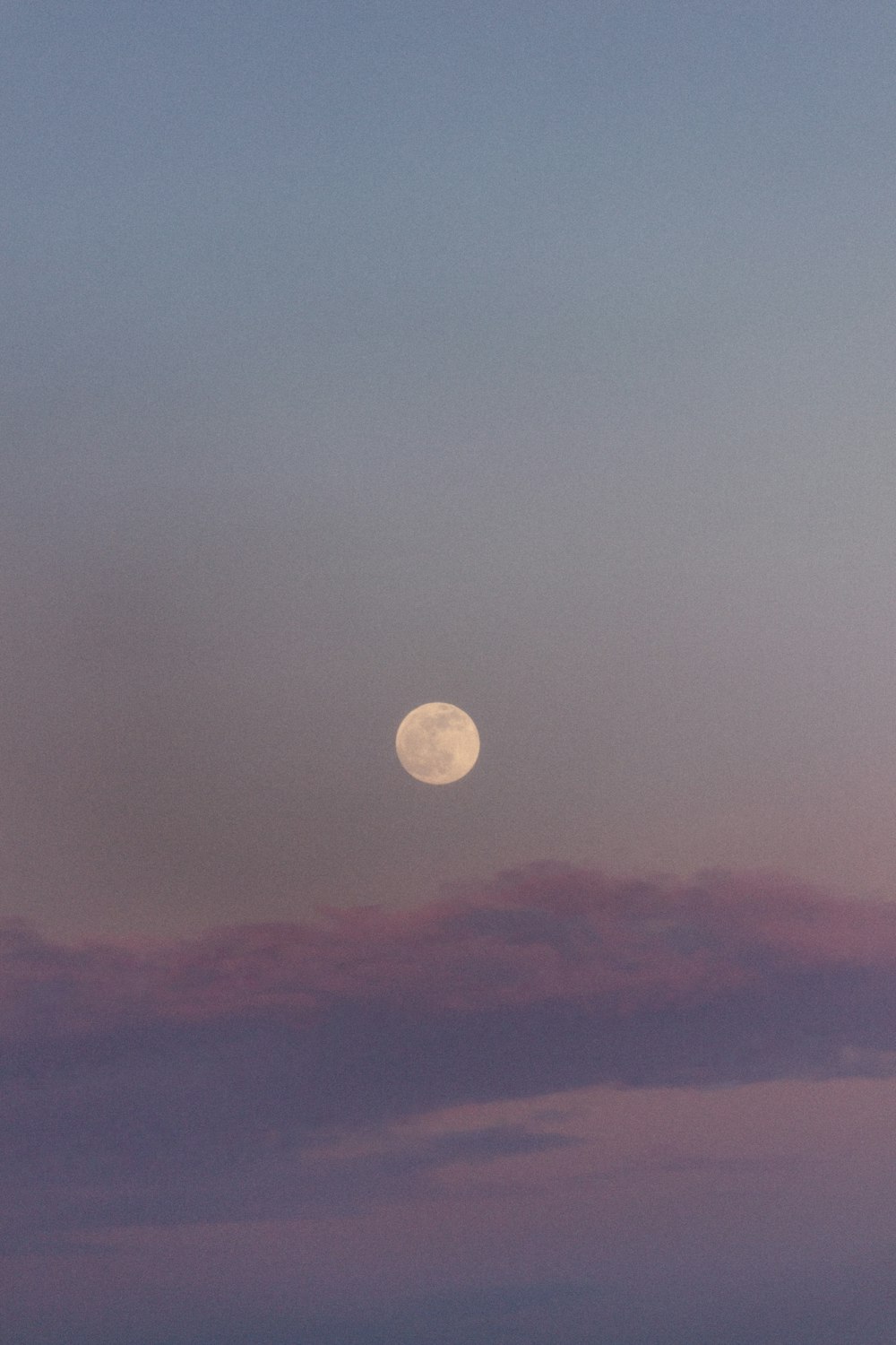 a full moon is seen in the sky