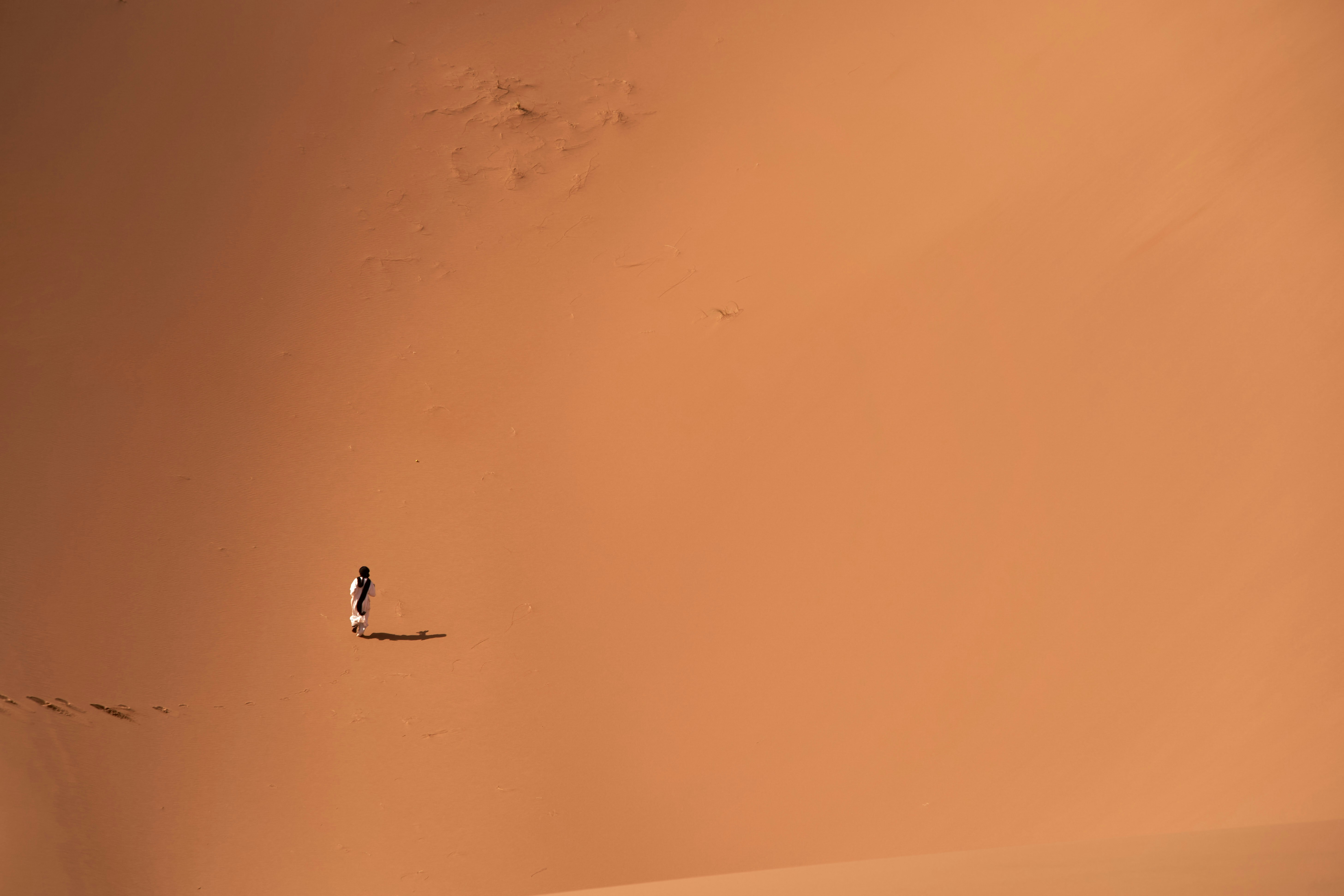 Photo by wolfgang_hasselmann