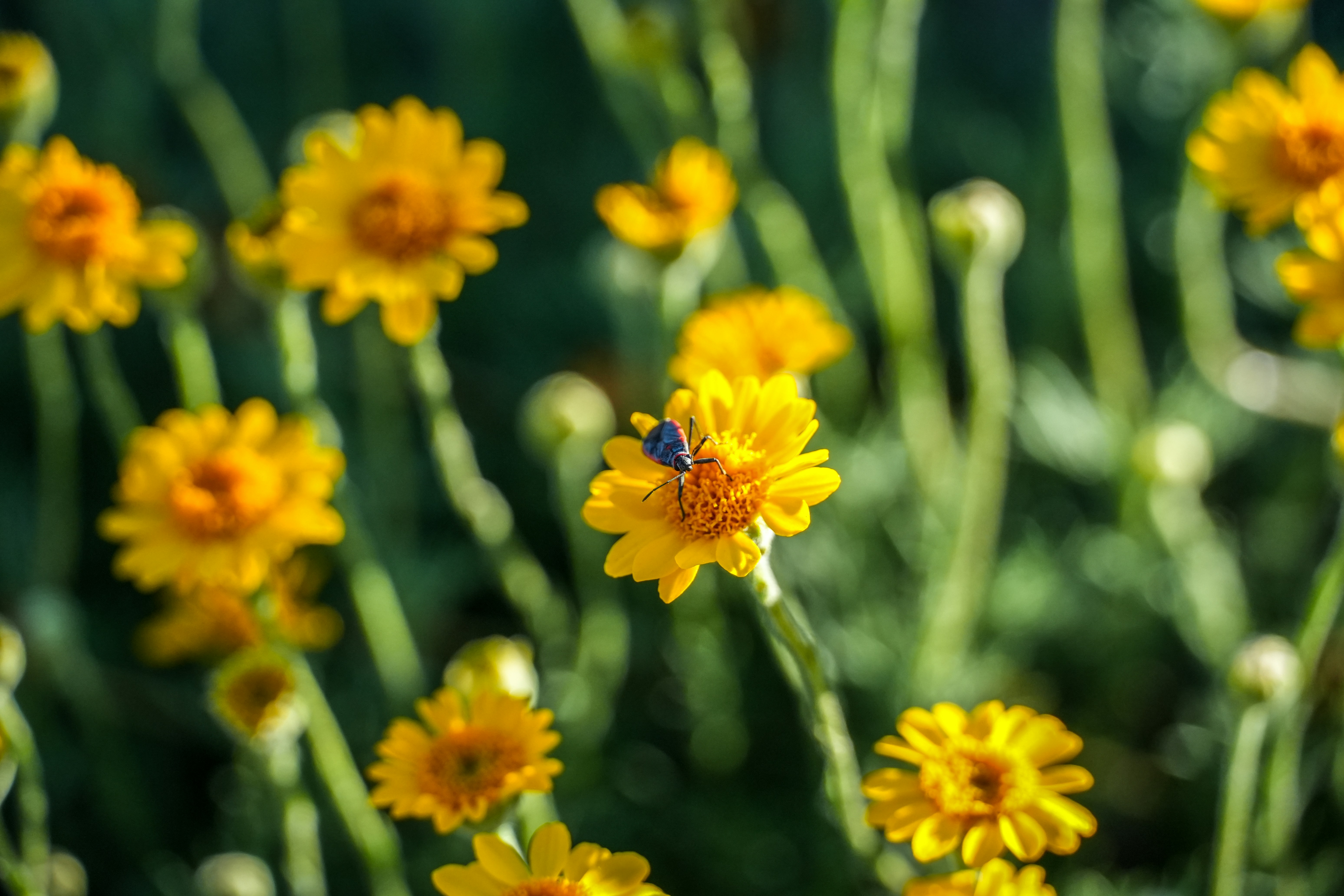 Photo by jcnonstop87