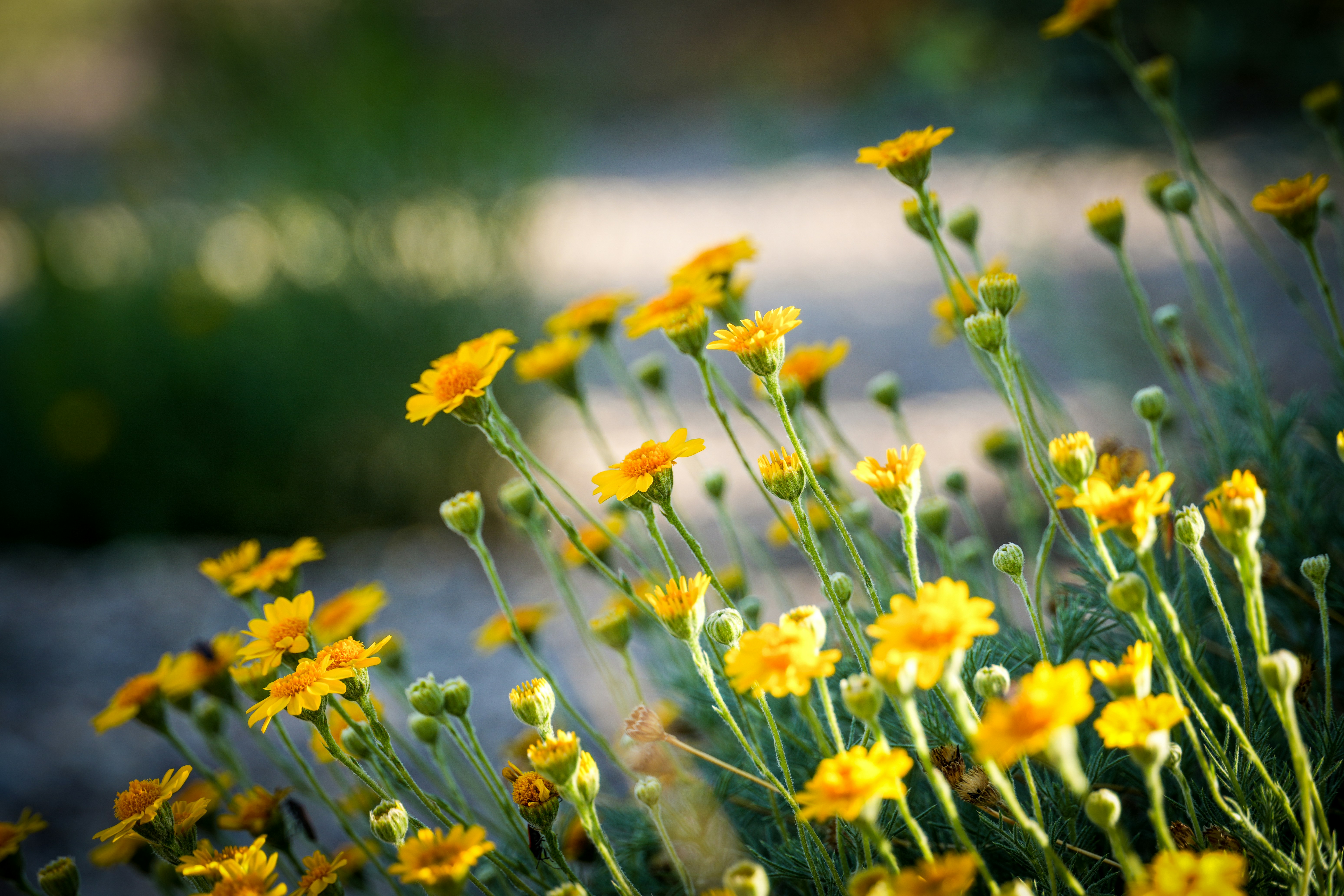 Photo by jcnonstop87