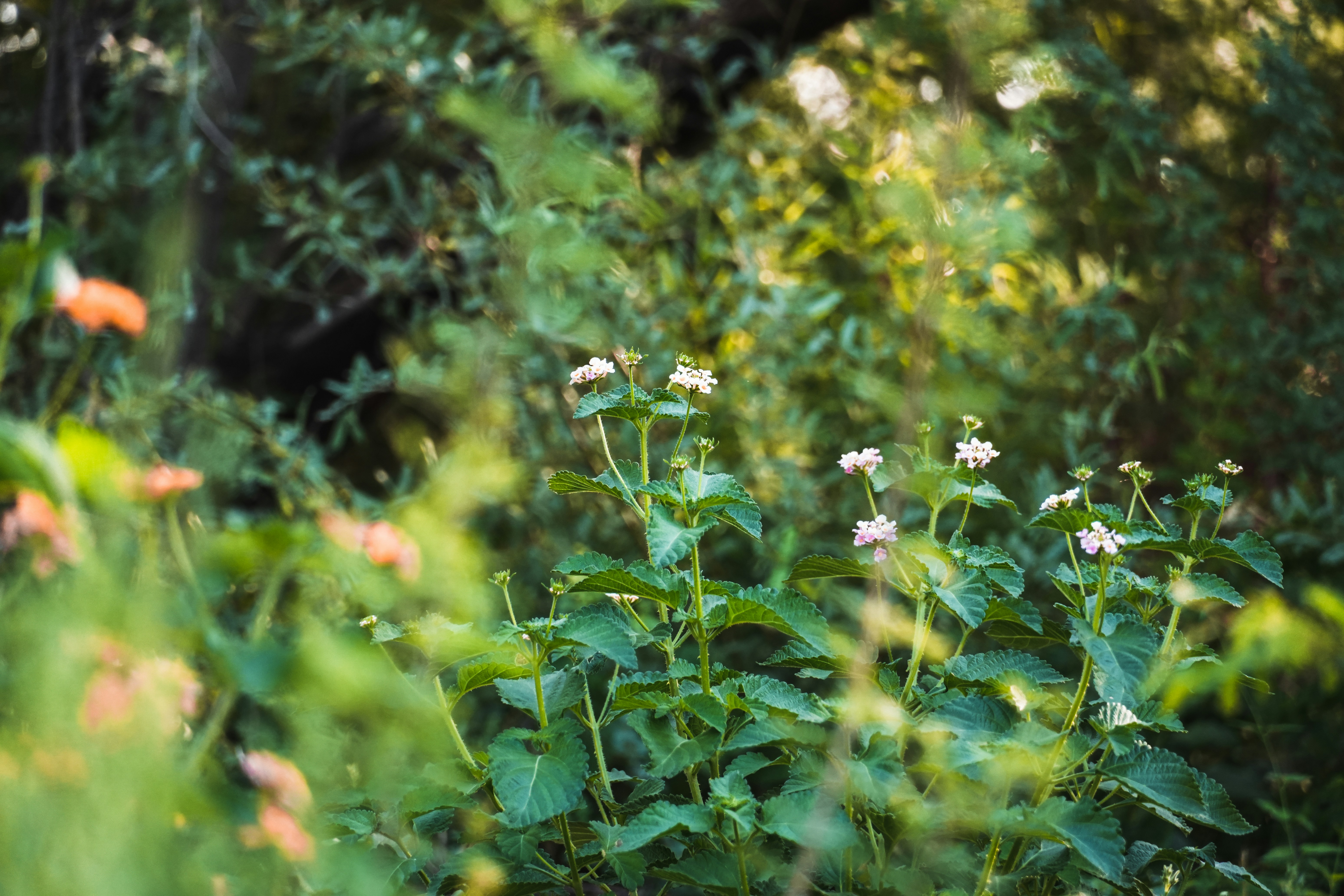 Photo by jcnonstop87