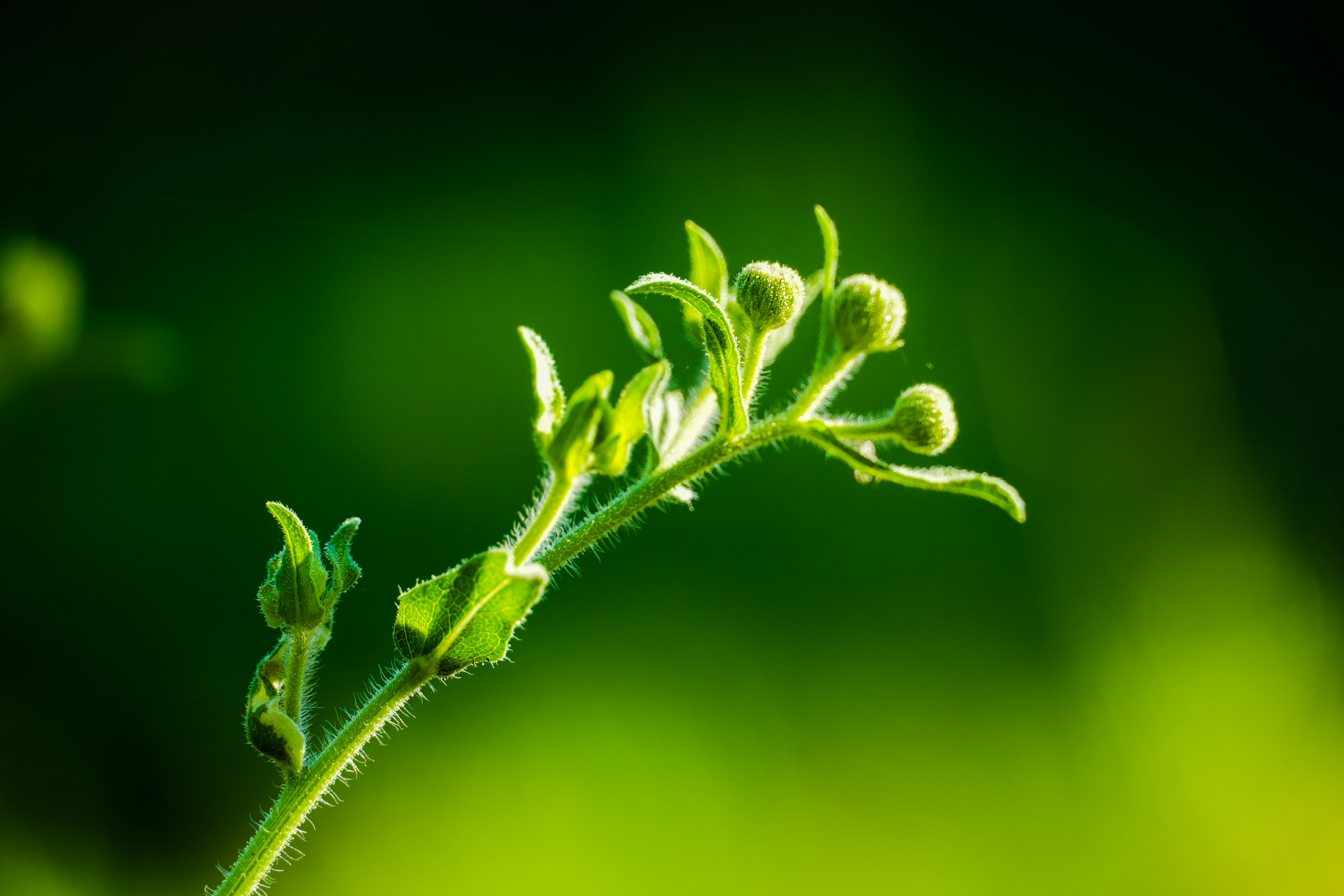 Photo by jcnonstop87