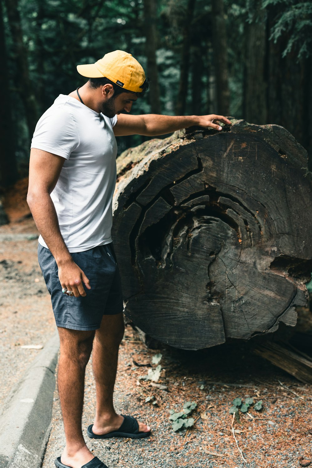 a man standing next to a large tree trunk