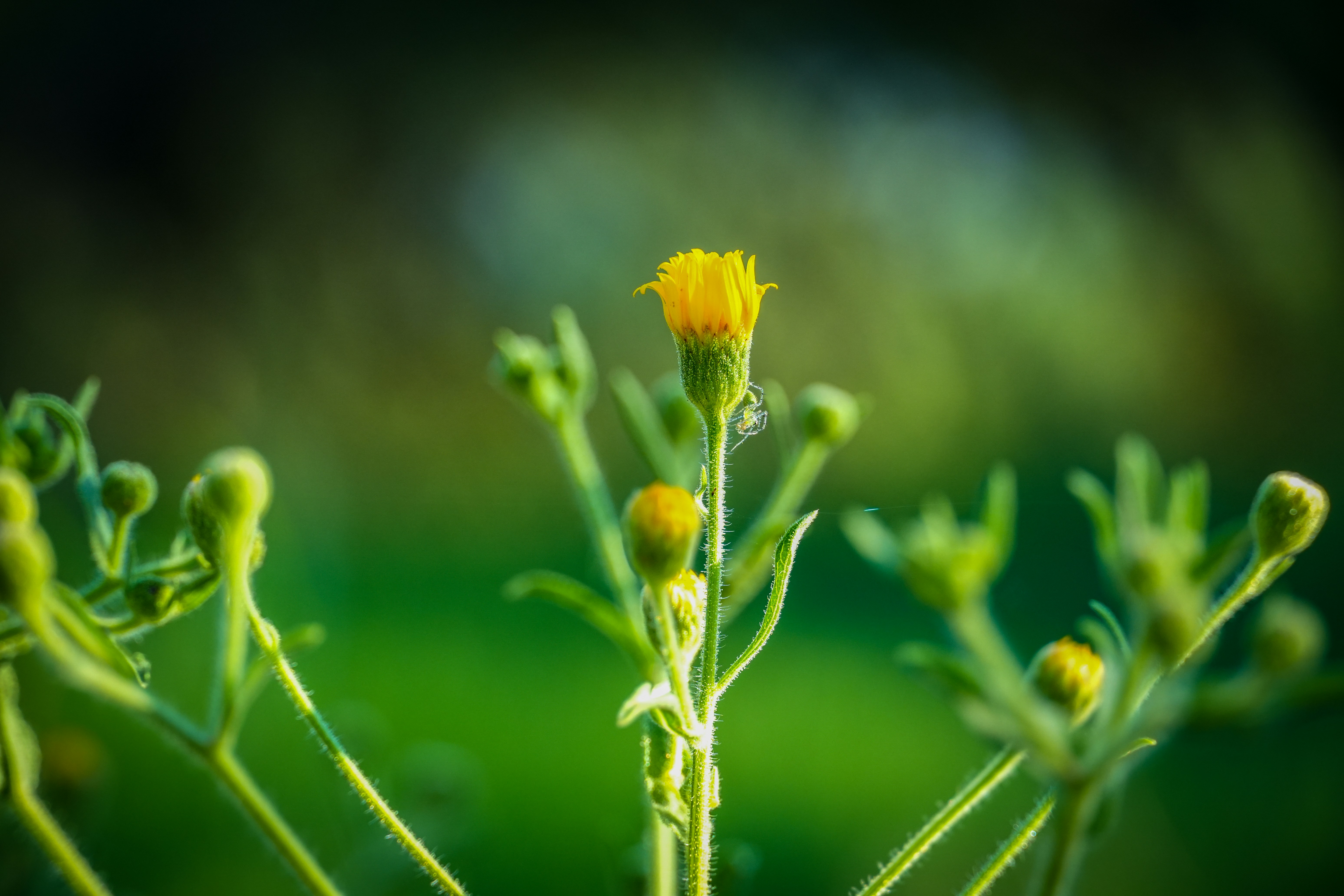 Photo by jcnonstop87