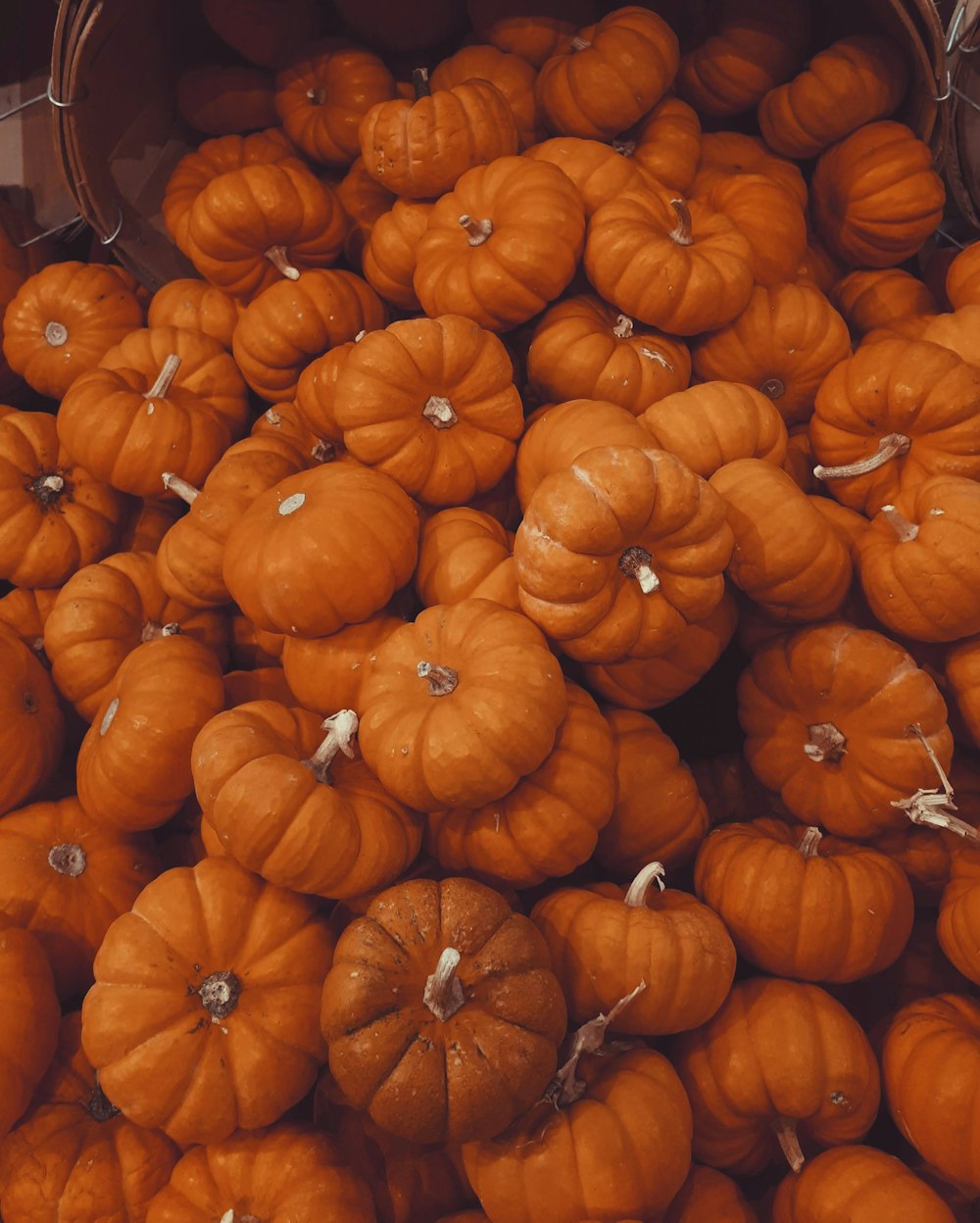 a pile of orange pumpkins sitting next to each other