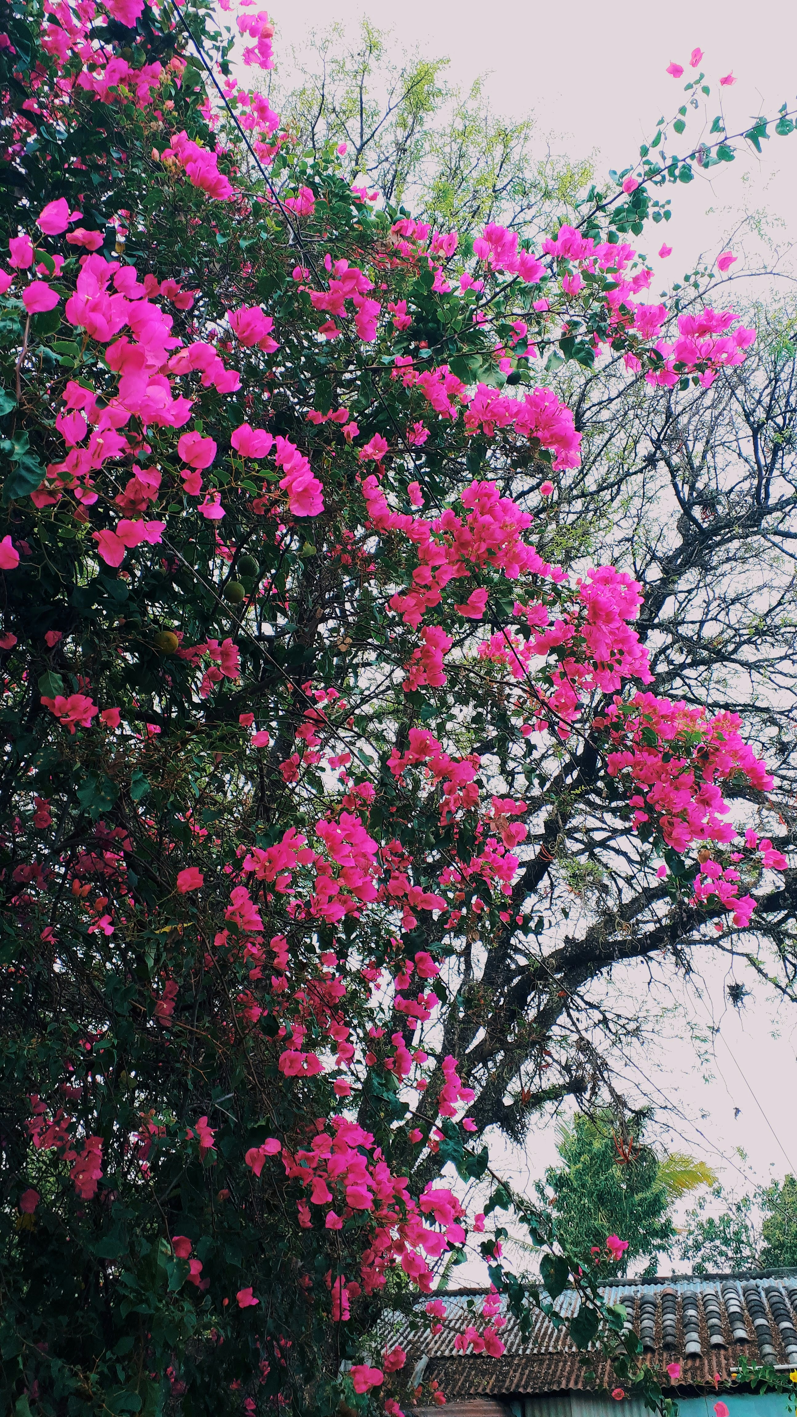 Photo by franciscobachez