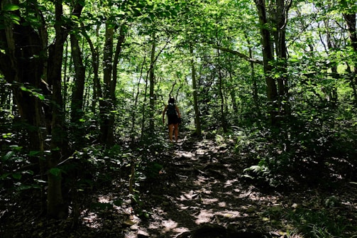 A person is walking along a shaded path through a dense, green forest. Sunlight filters through the leaves, illuminating parts of the forest floor and tree trunks. The scene is lush and serene, with a sense of solitude and connection to nature.